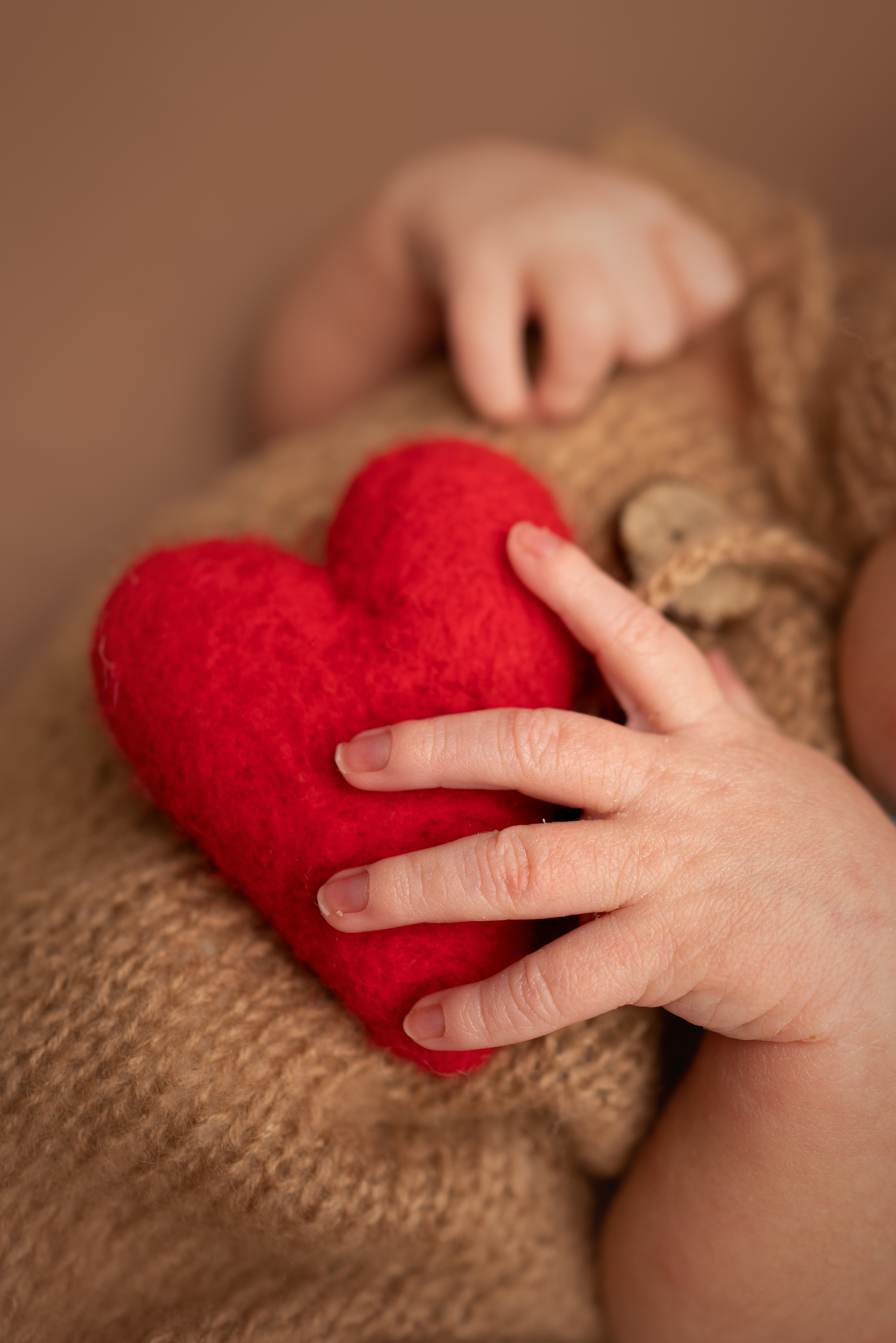 Neue Bilder unserer Babys auf dem Familienfotoshooting. Neugeborenenfotografin und Retoucher in Augsburg Nastassia Schneider