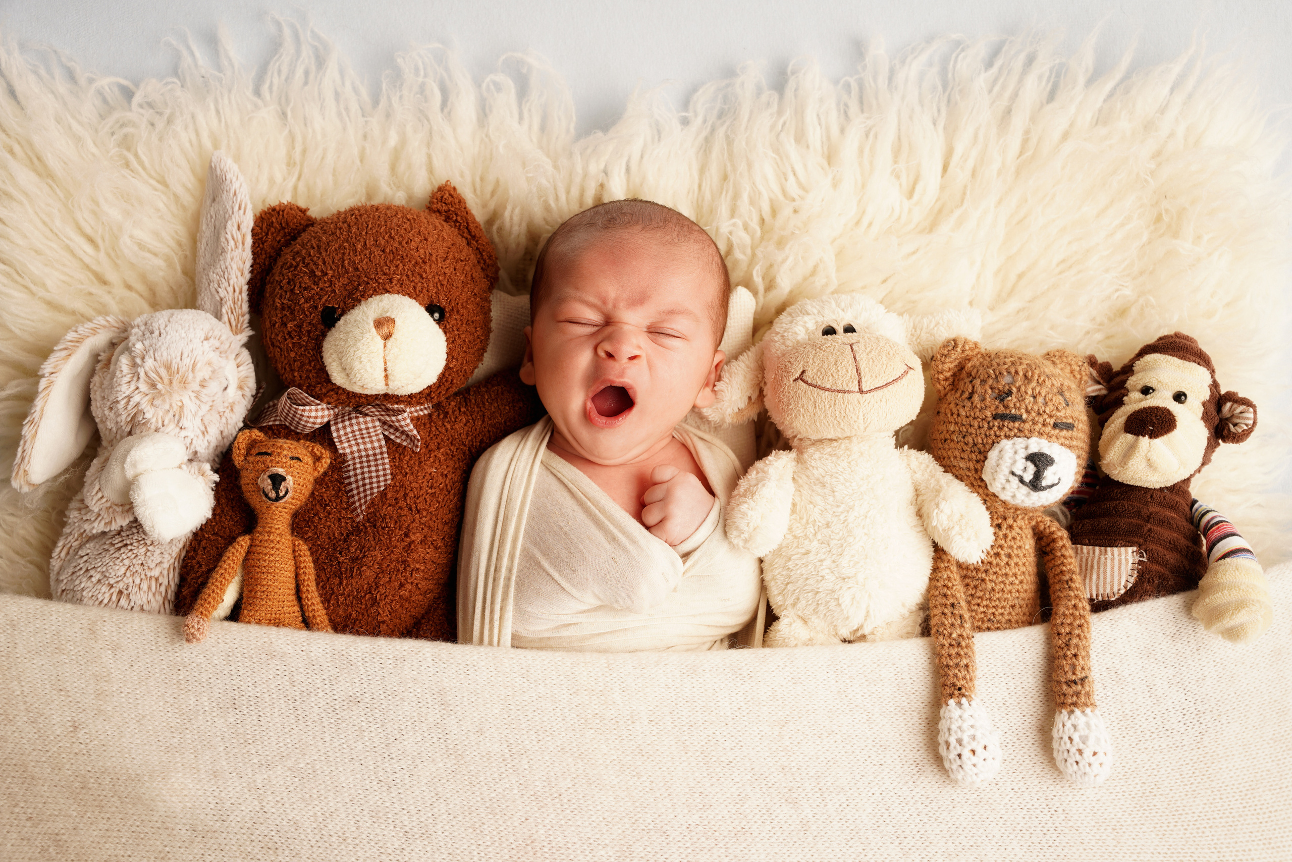 Ein neues Leben ist auf der Welt geboren und es ist wunderschön