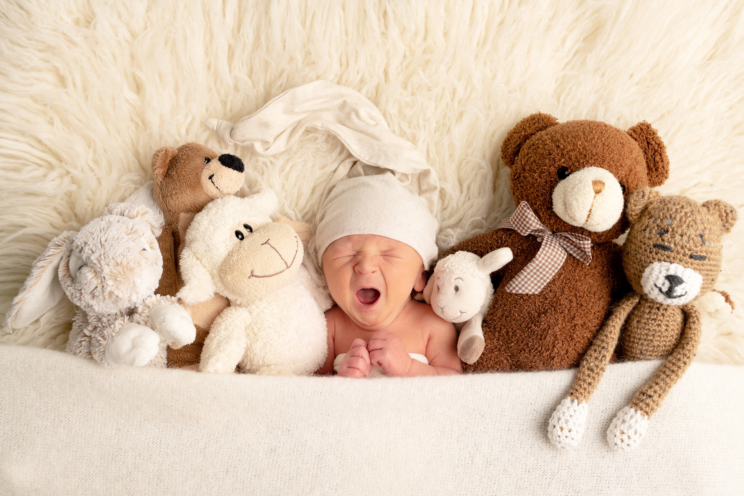 Ein kleiner Junge schläft  mit einem Plüschtier