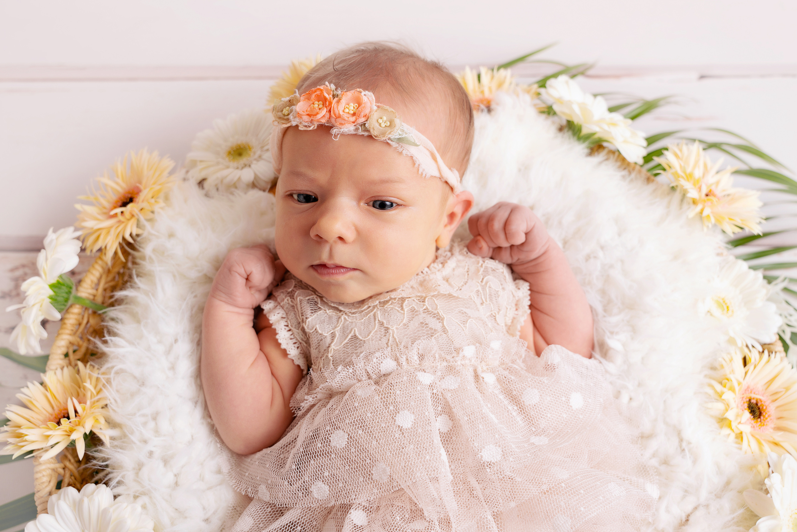 Ein kleines Wesen, das so viel Liebe und Zuneigung verdient