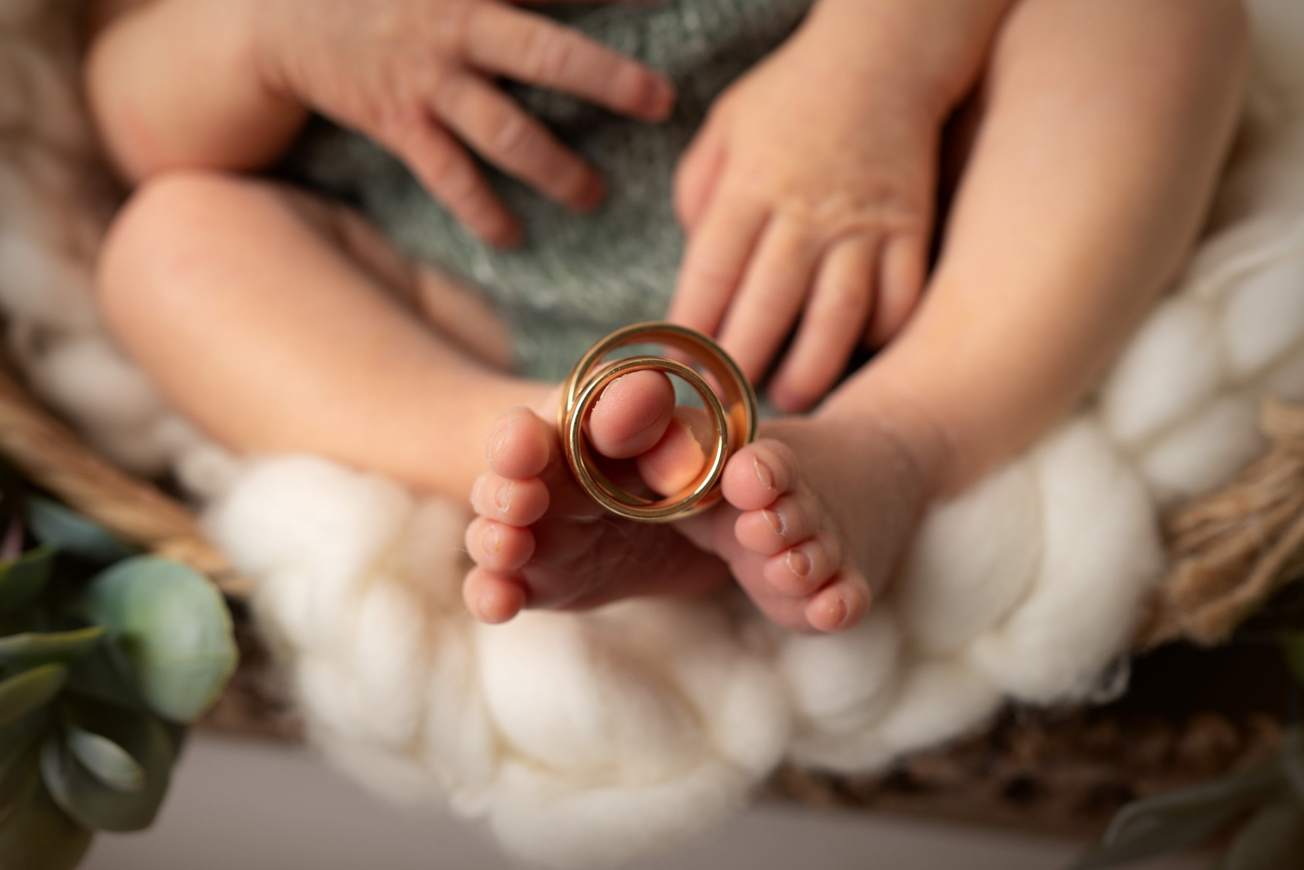 Eine Familie, die ihr neues Familienmitglied begrüßt