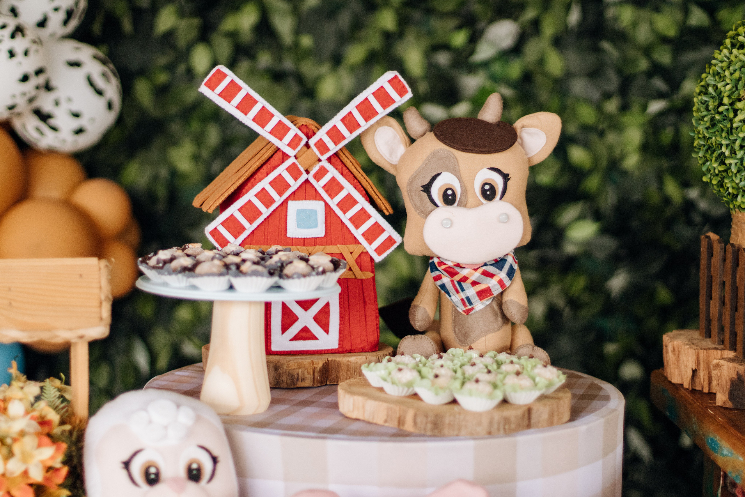 Gustavo — Aniversário 1 ano. Principal