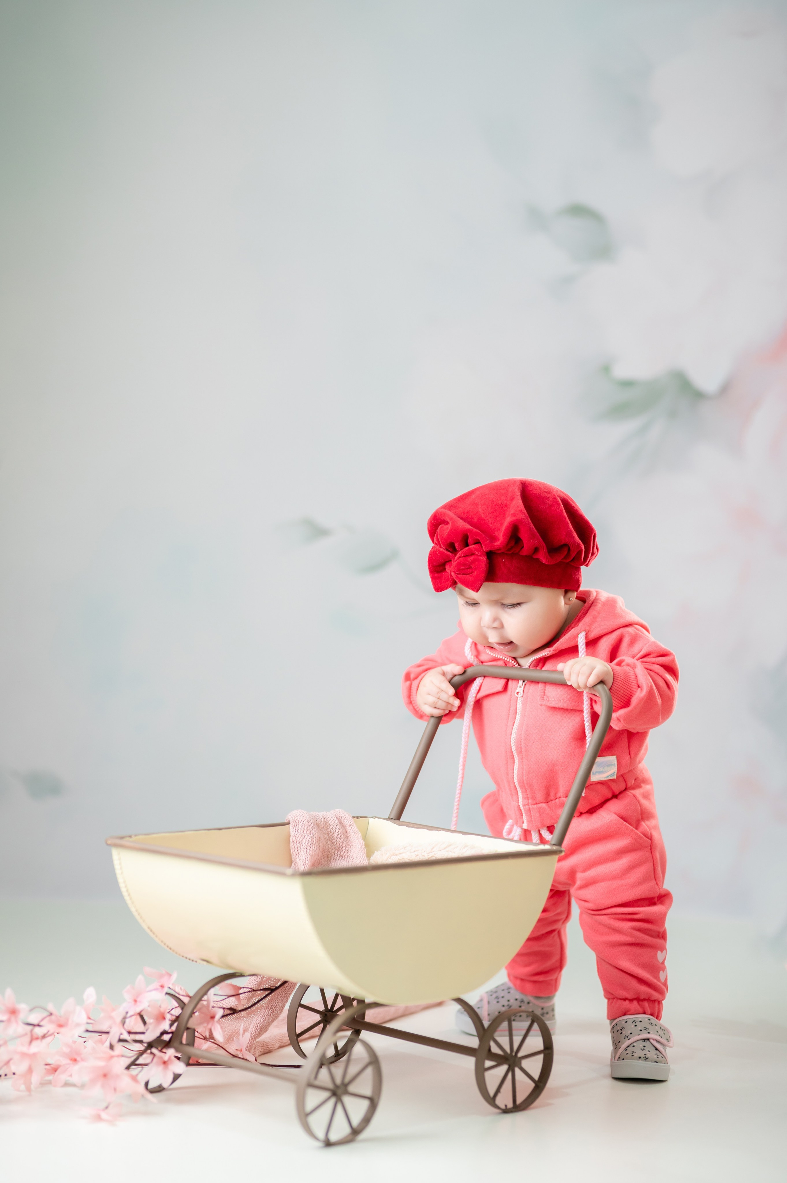 Acompanhamentos. Fotografamos famílias, gestantes, bebês e ensaios individuais