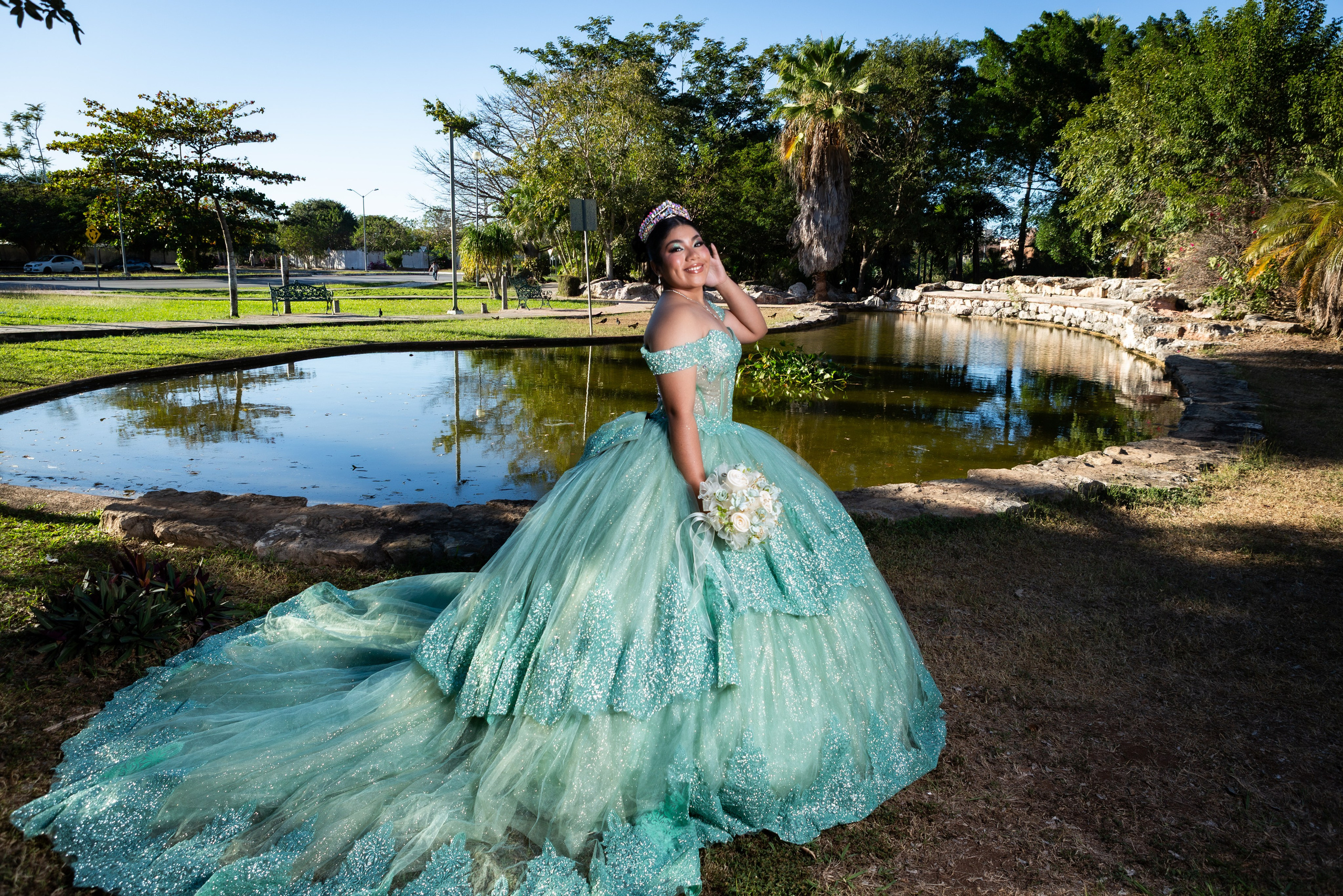 Xv años Danna