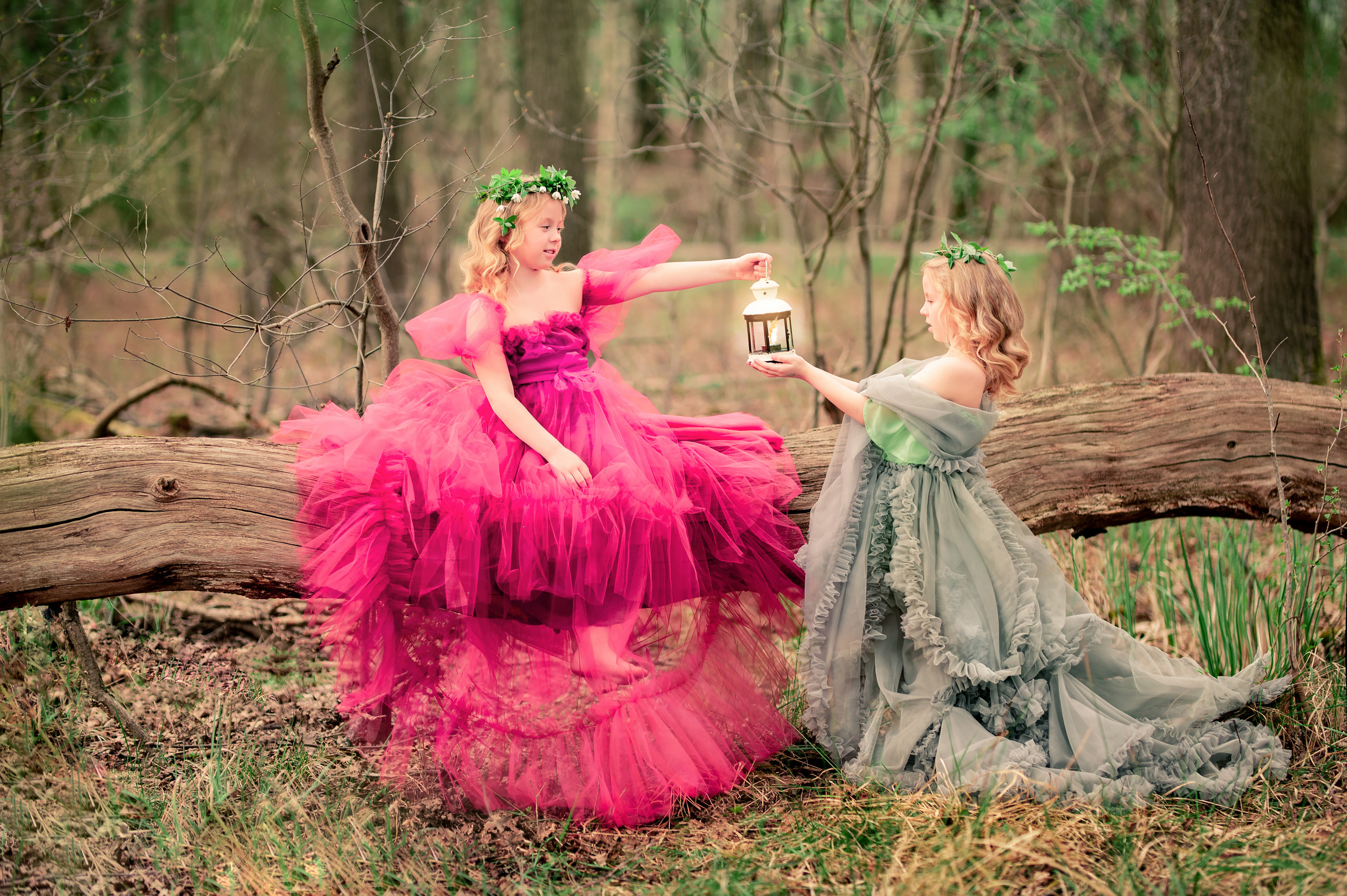 Kleine Feen im Frühlingswald. Fotografin aus NRW