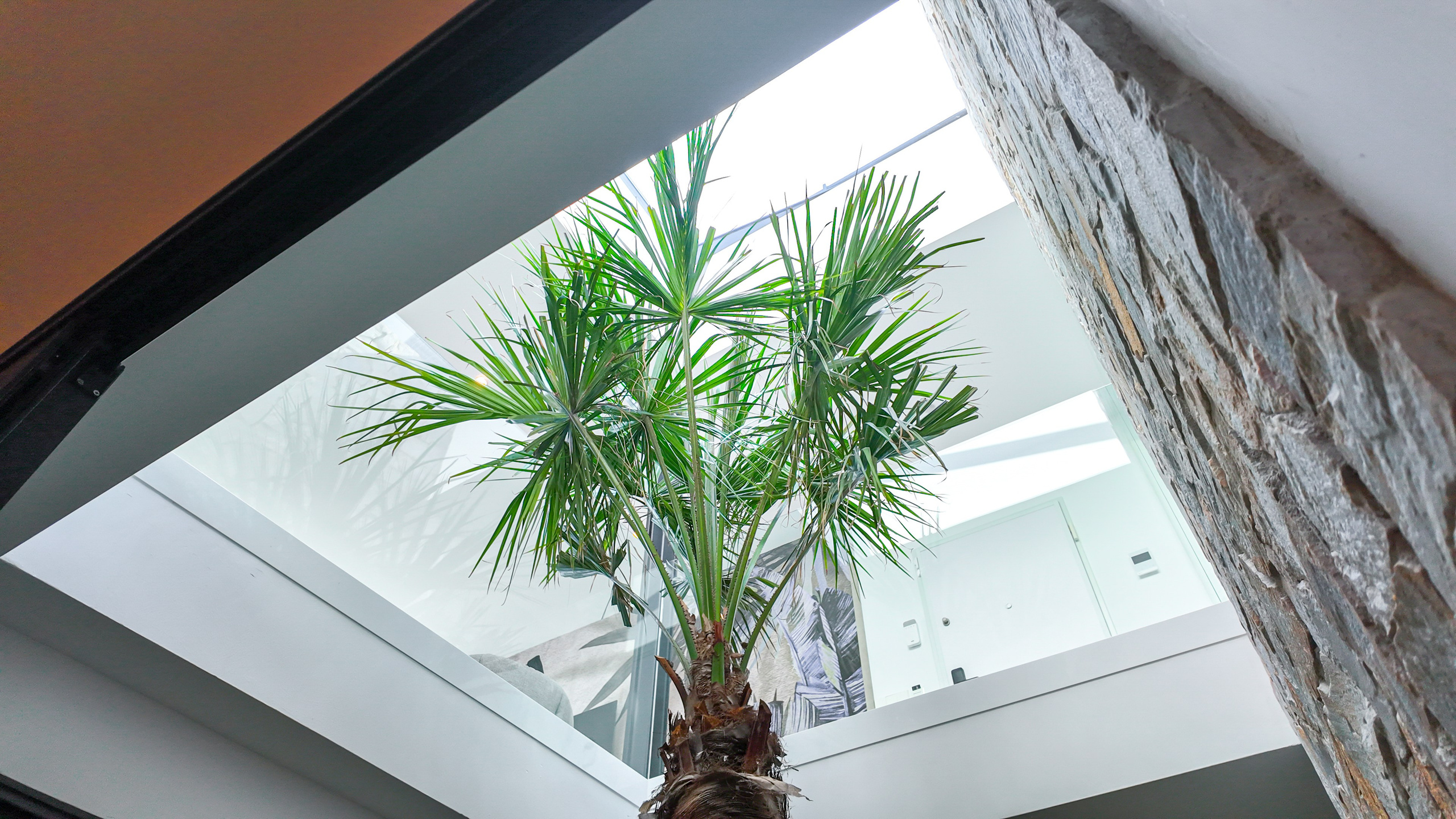 Villa PALMERA I’M GROUP. Baby Beast