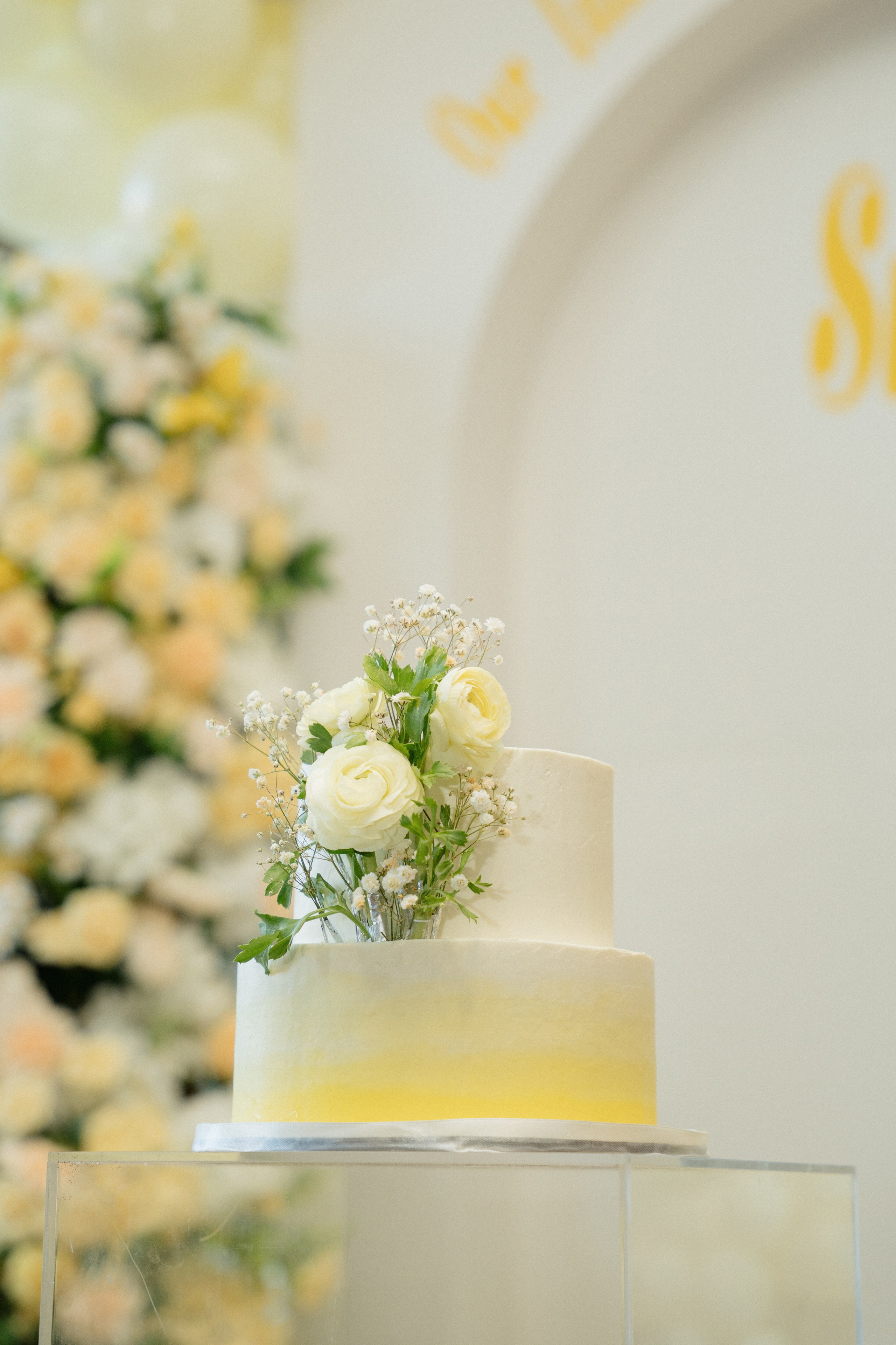 Harshada’s Baby Shower. Photographer in Washington Sophia D
