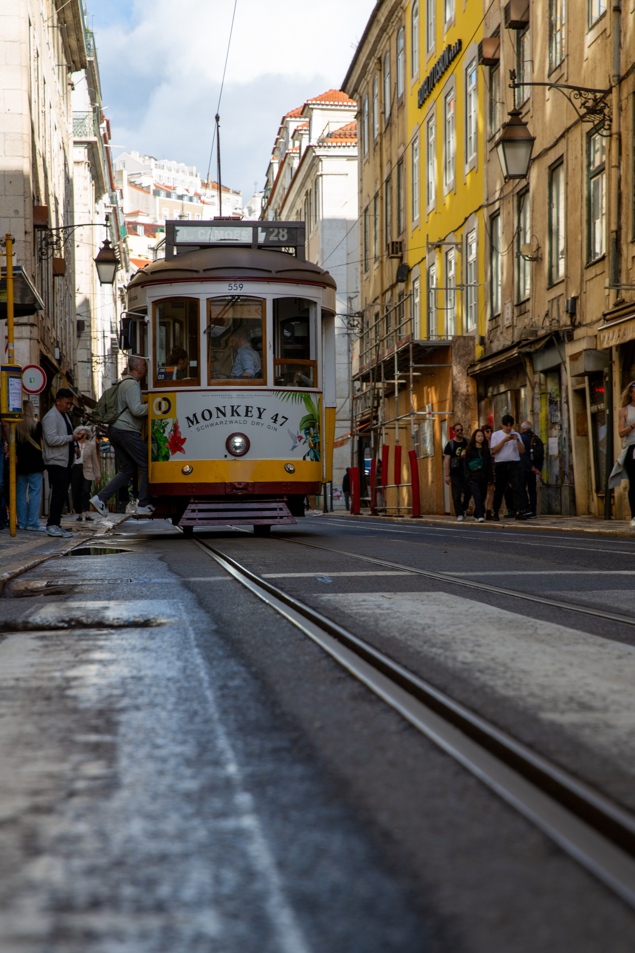 Paisagens. Thiago Chinellato