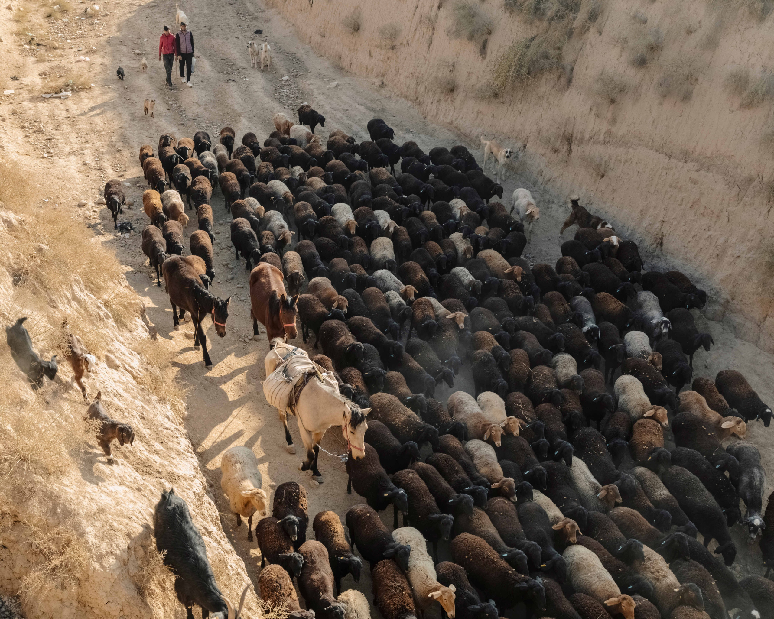 Fading Dream. Zifan Zhang | Documentary Photographer