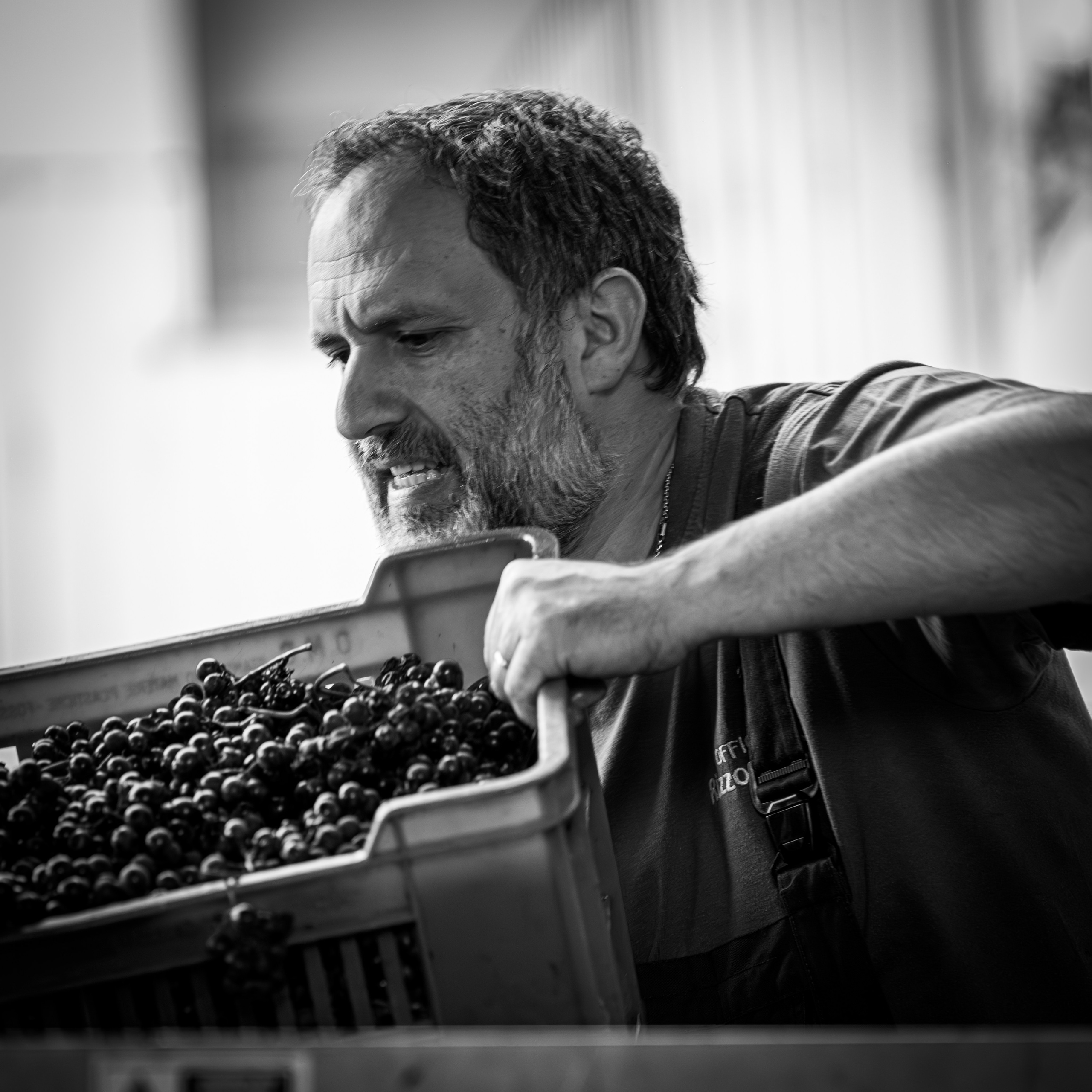Cantine Boasso Serralunga. “Gianmaria Coscia fotografo per passione”