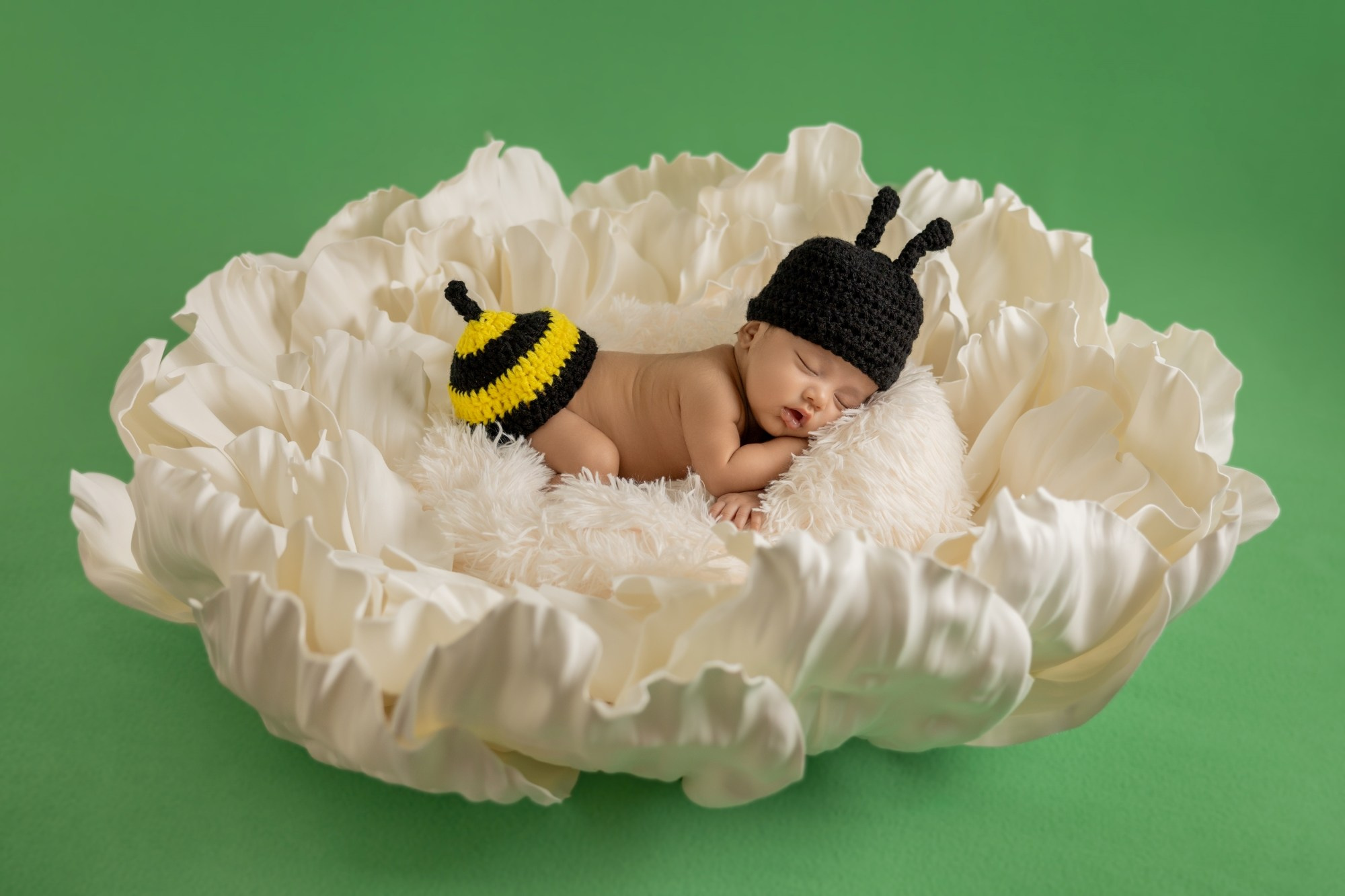 sleeping newborn baby looks like a bee on the flower 