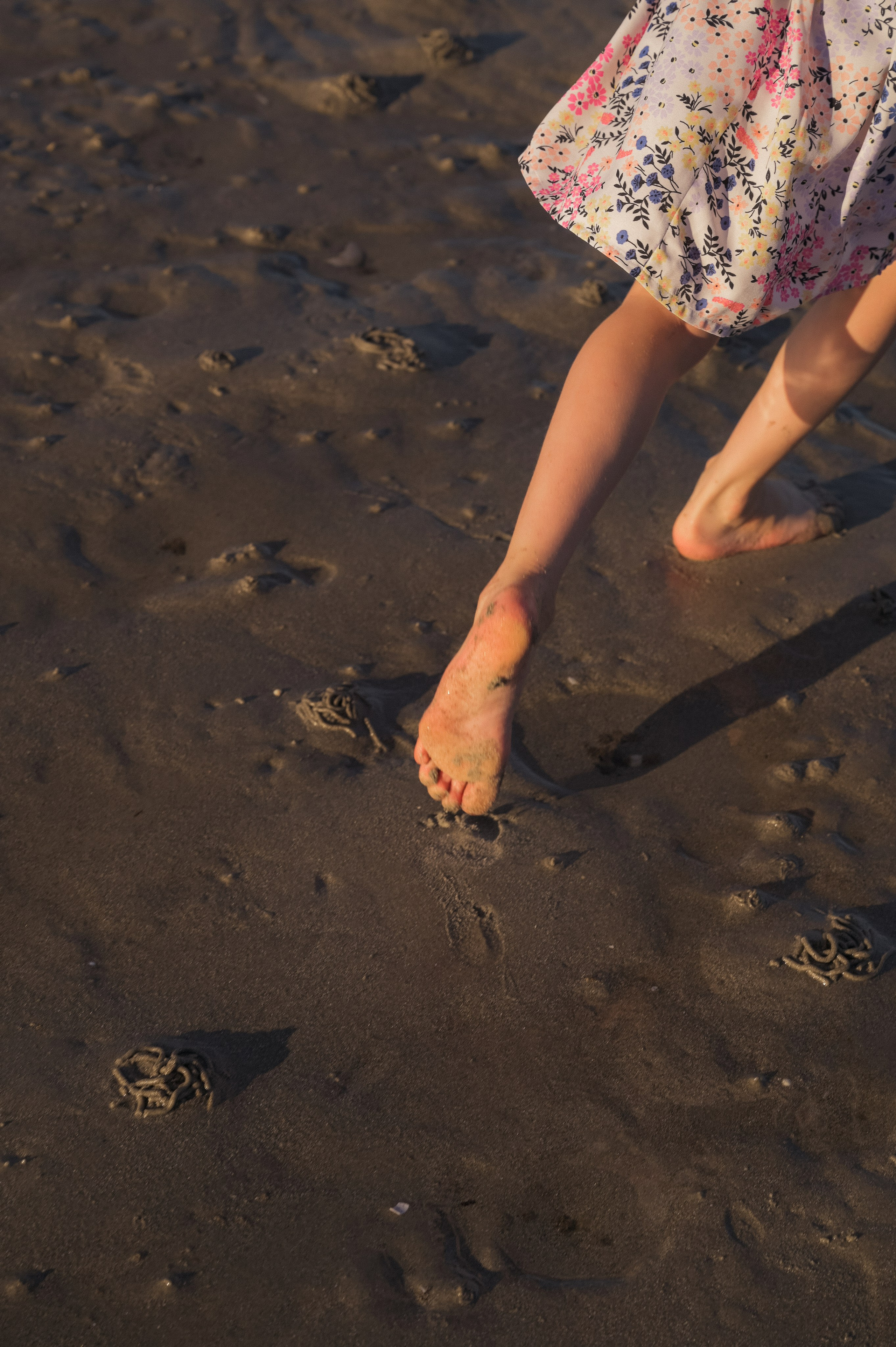 Familiefotografering i Ballangen og omegn. Din fotograf i Narvik kommune