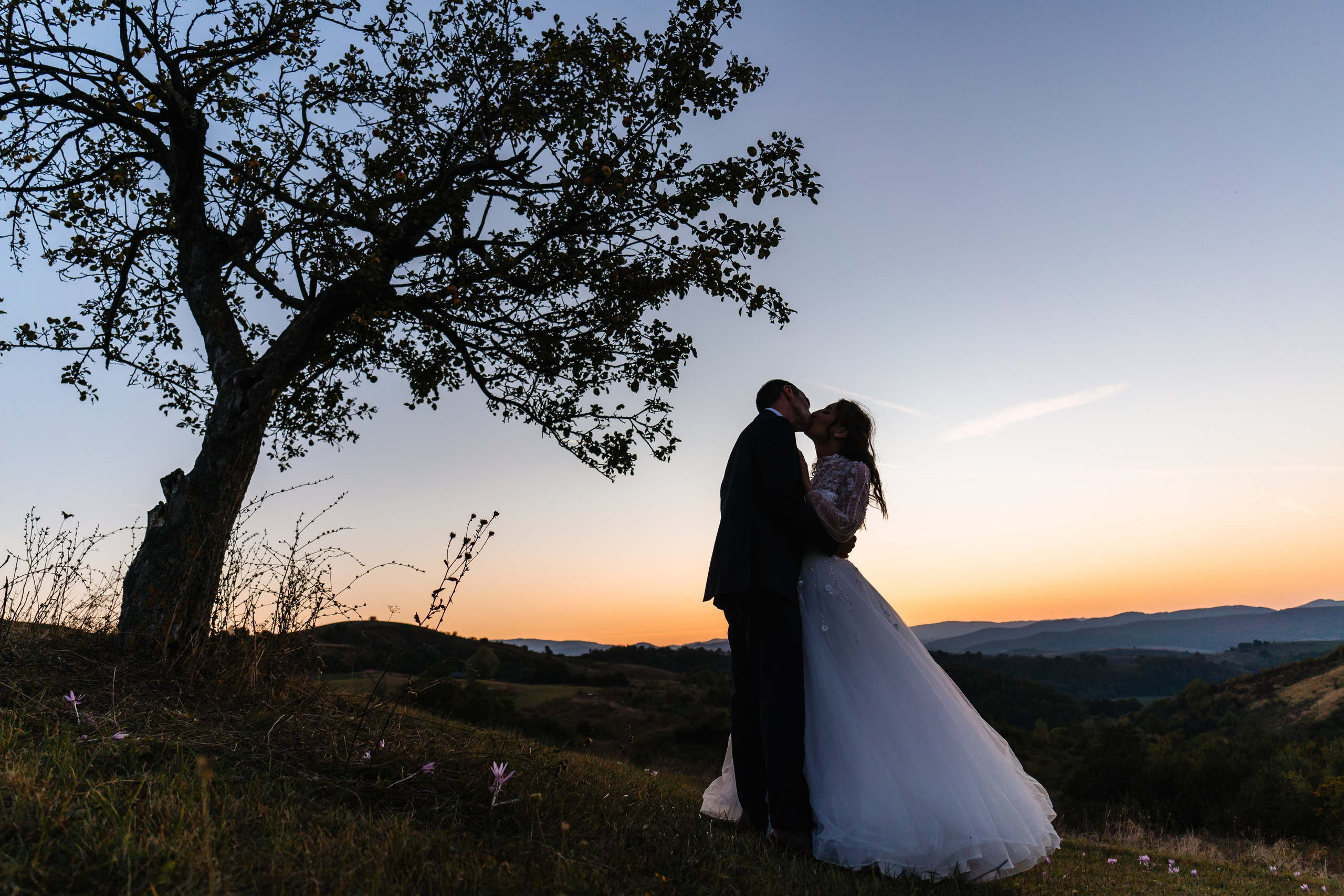 Andreea și Balint. Foto-Video Nunta Iasi, Suceava, Bucuresti / Disponibilitate 2025 — 2026 — 2027