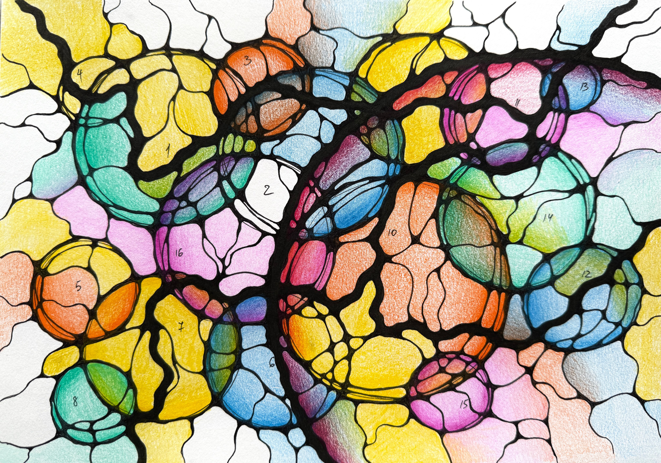 Moje slike. Numerologija. Nevrografika. Delavnice