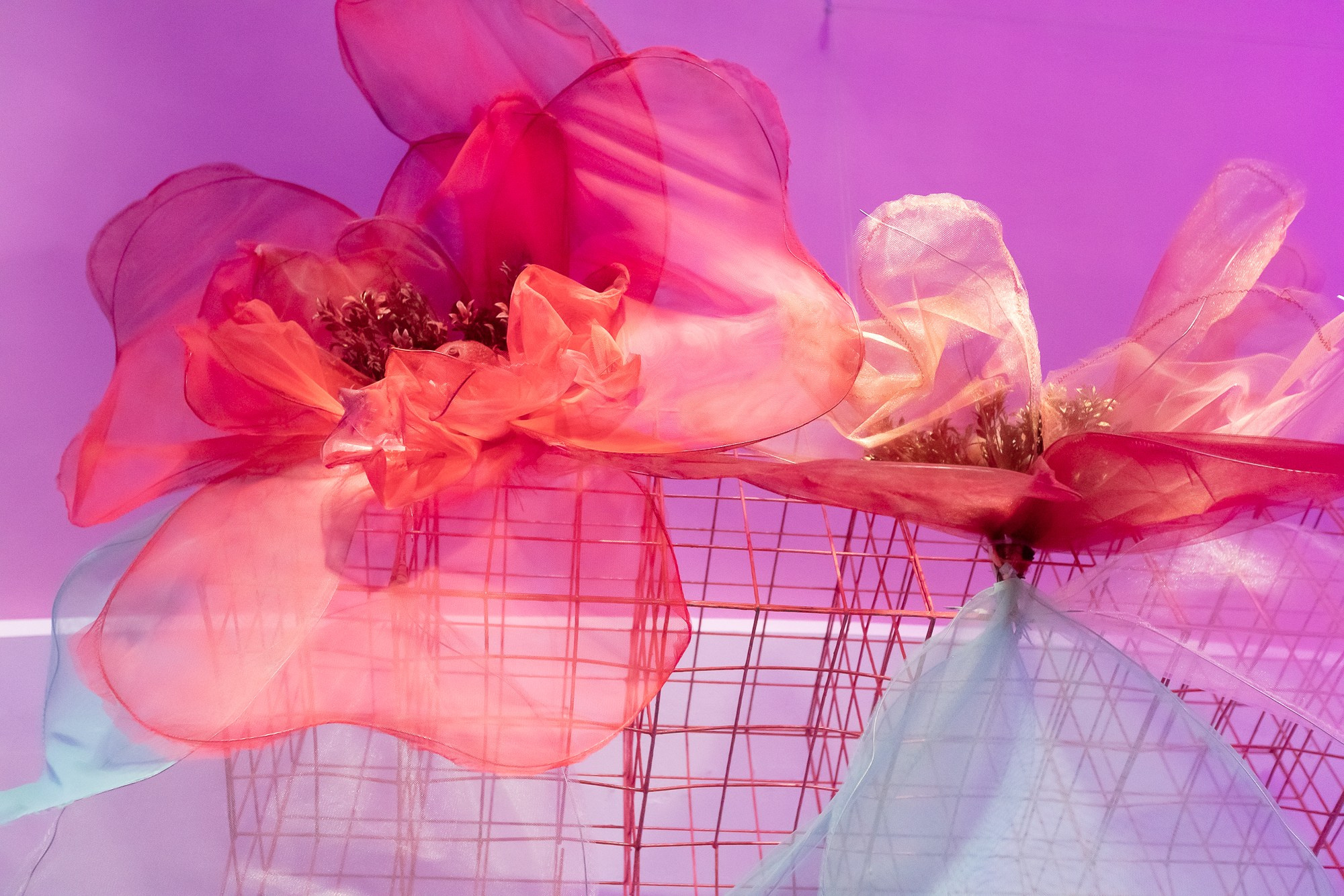 Environment. Reportage photographer Bratislava | Репортажний фотограф Братислава