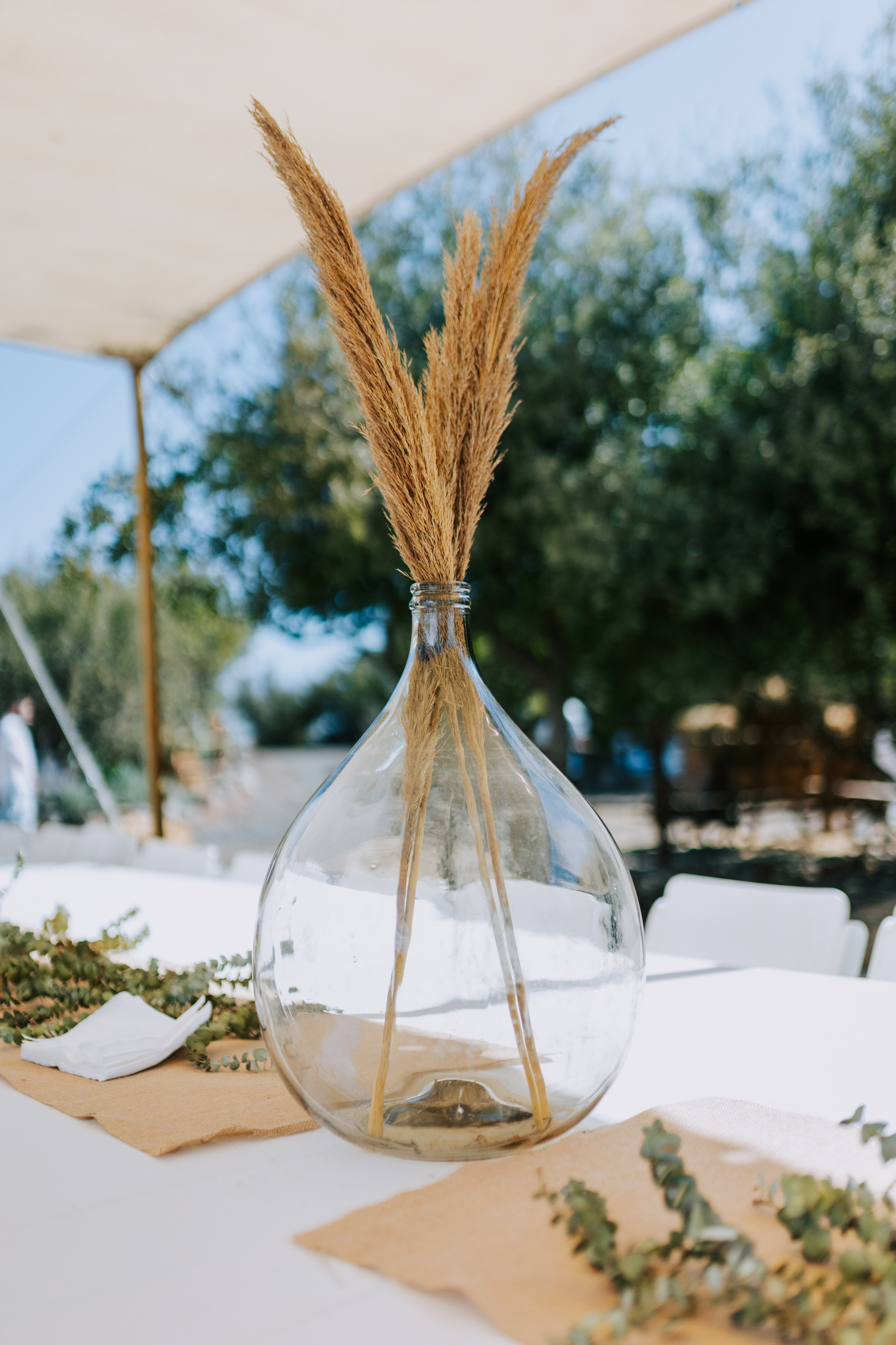 Eden & Raz. AMIR BUCHNIK PHOTOGRAPHER