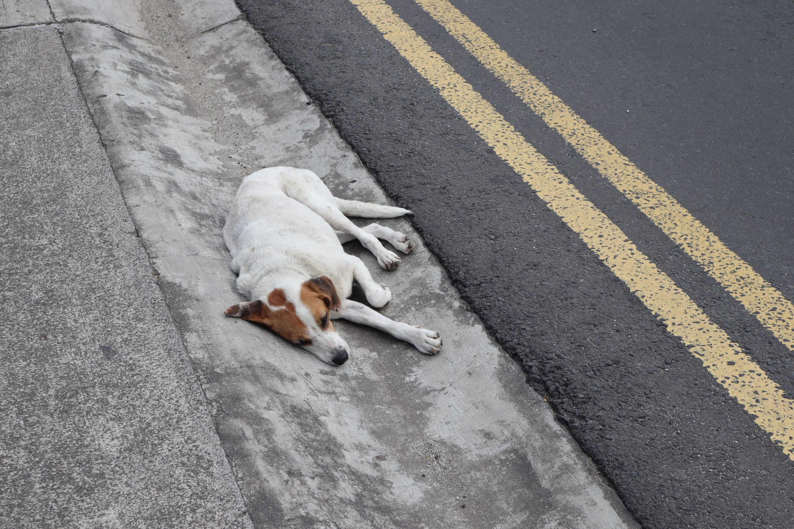 Путешествие на родину птицы додо. Travel photographer Ksenia