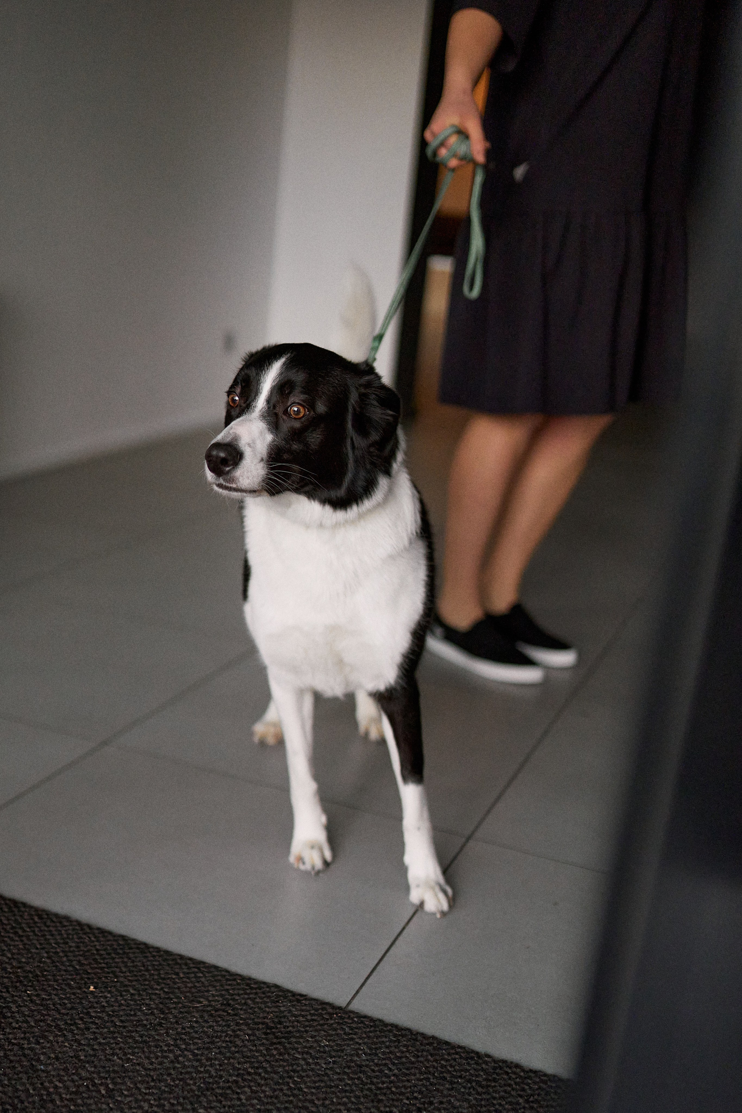 Santa & Agris. Свадебный фотограф Даугавпилс, Рига/ Kāzu fotogrāfs Daugavpils, Rīga