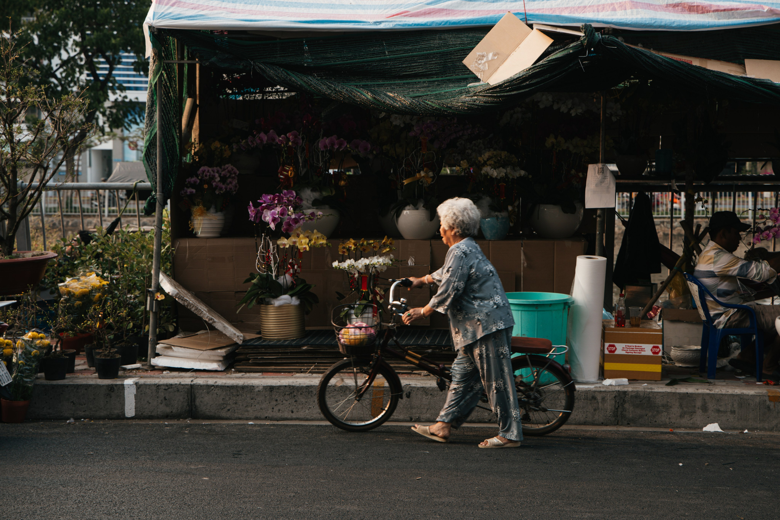 Vietnam 2023. A-r.studio