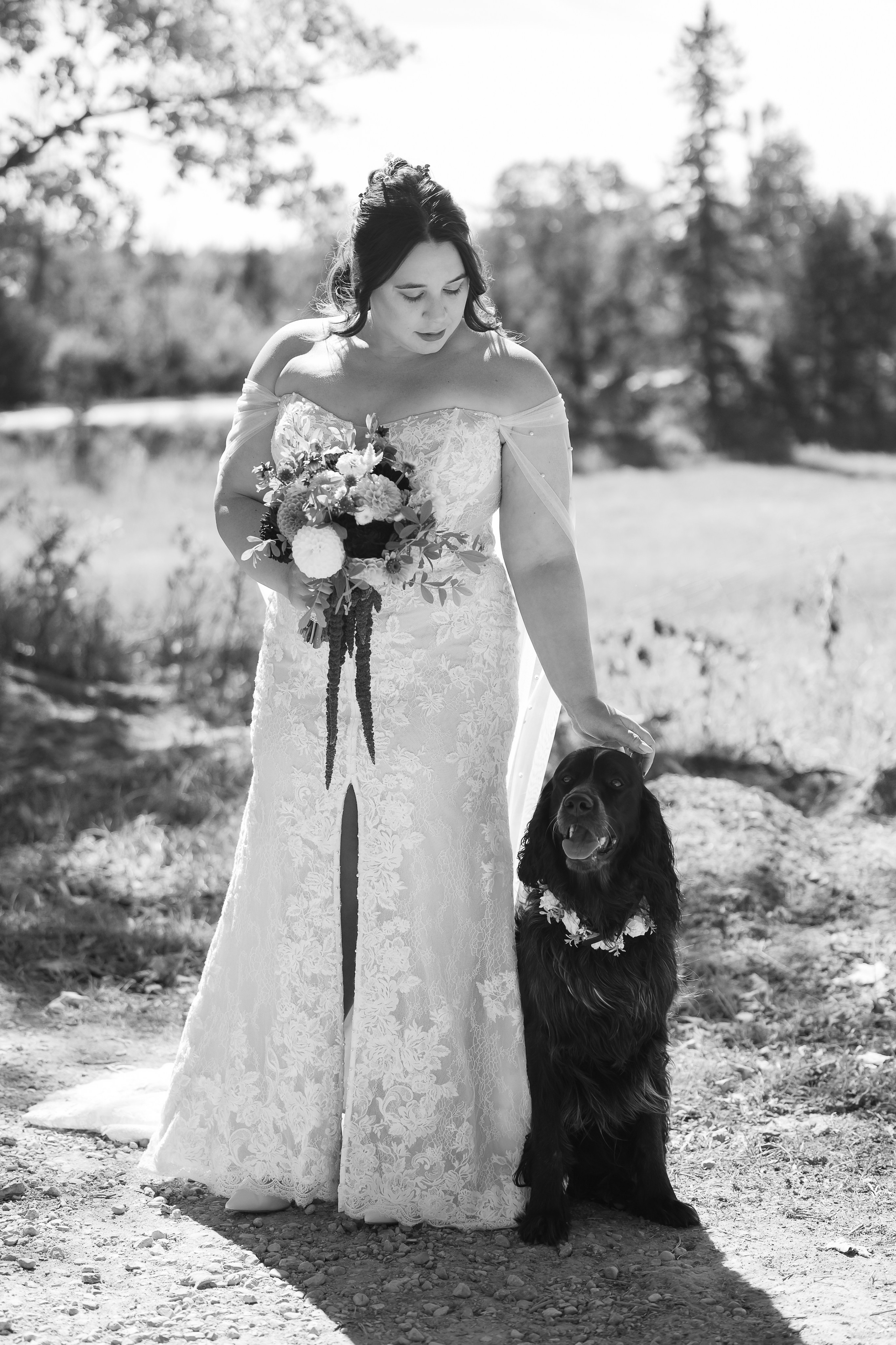 Intimate Weddings and Elopement Photography Ontario. Portrait and Personal Brand Photographer in Simcoe County, Ontario, Bobbi-jo Stuart