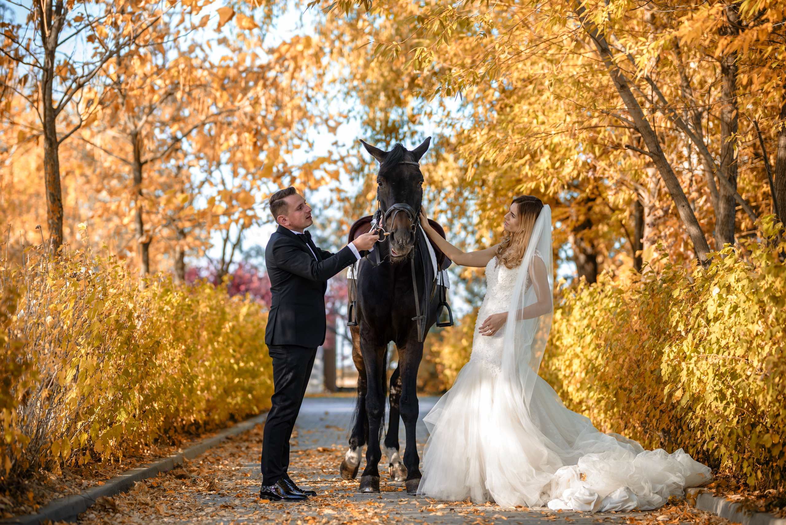 After Wedding - Diana + Marius
