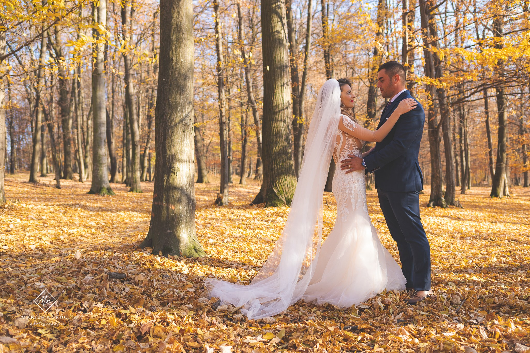 Alexandra & Alin | Padurea Bucium Iasi