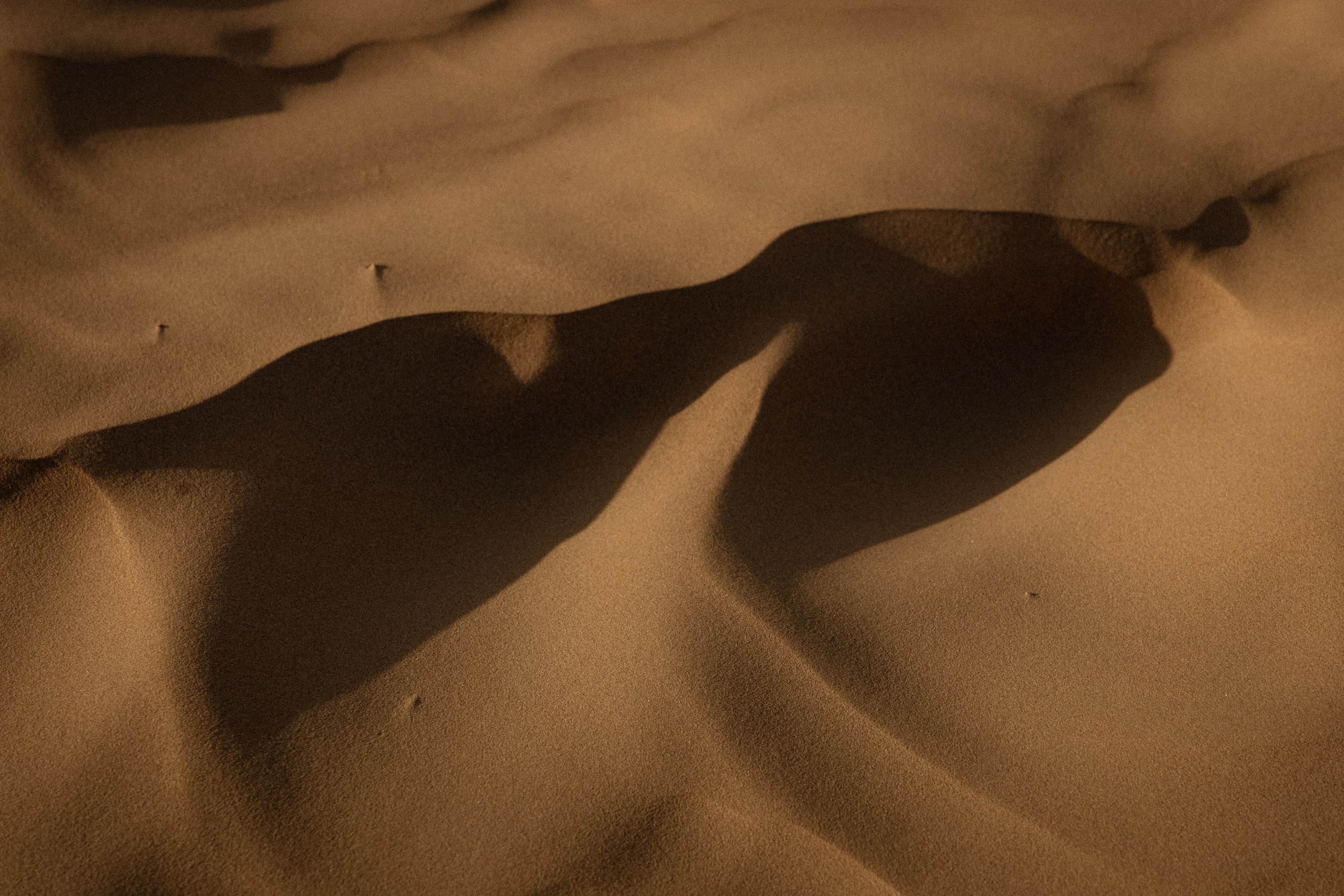 Галлерея. Anka Fateeva — Fine Art Photography Prints