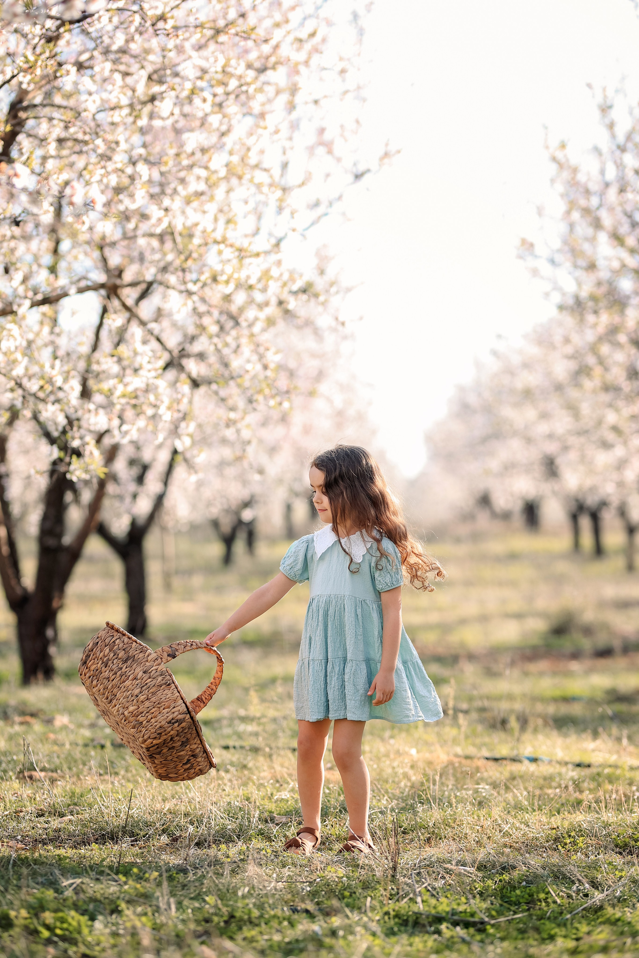 Фотосессия в цветущем миндале. Фотограф в Турции, Анталии, Кемере, Белеке, Сиде, Каше, Калкане, Фетхие