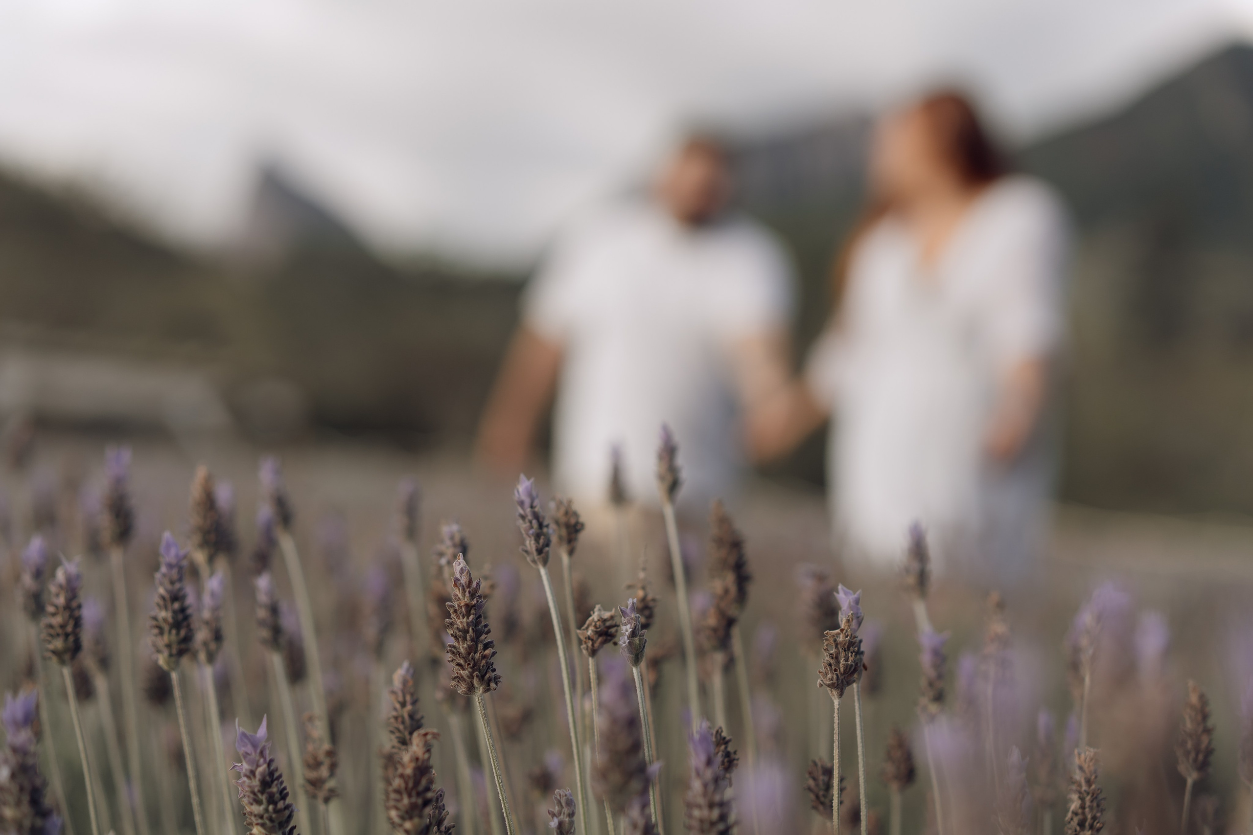 Joana & Robert | Lavandário em Pedra Azul. Lembrar não é só ver. É sentir de novo