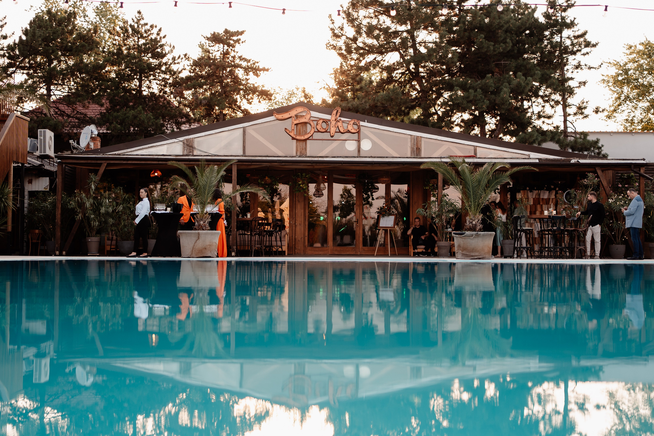 Moment emoționant între miri în ziua nunții, surprins într-un cadru natural și romantic, la Daimon Events. Fotografie de nuntă profesională, editată artistic pentru a evidenția emoția și eleganța evenimentului.