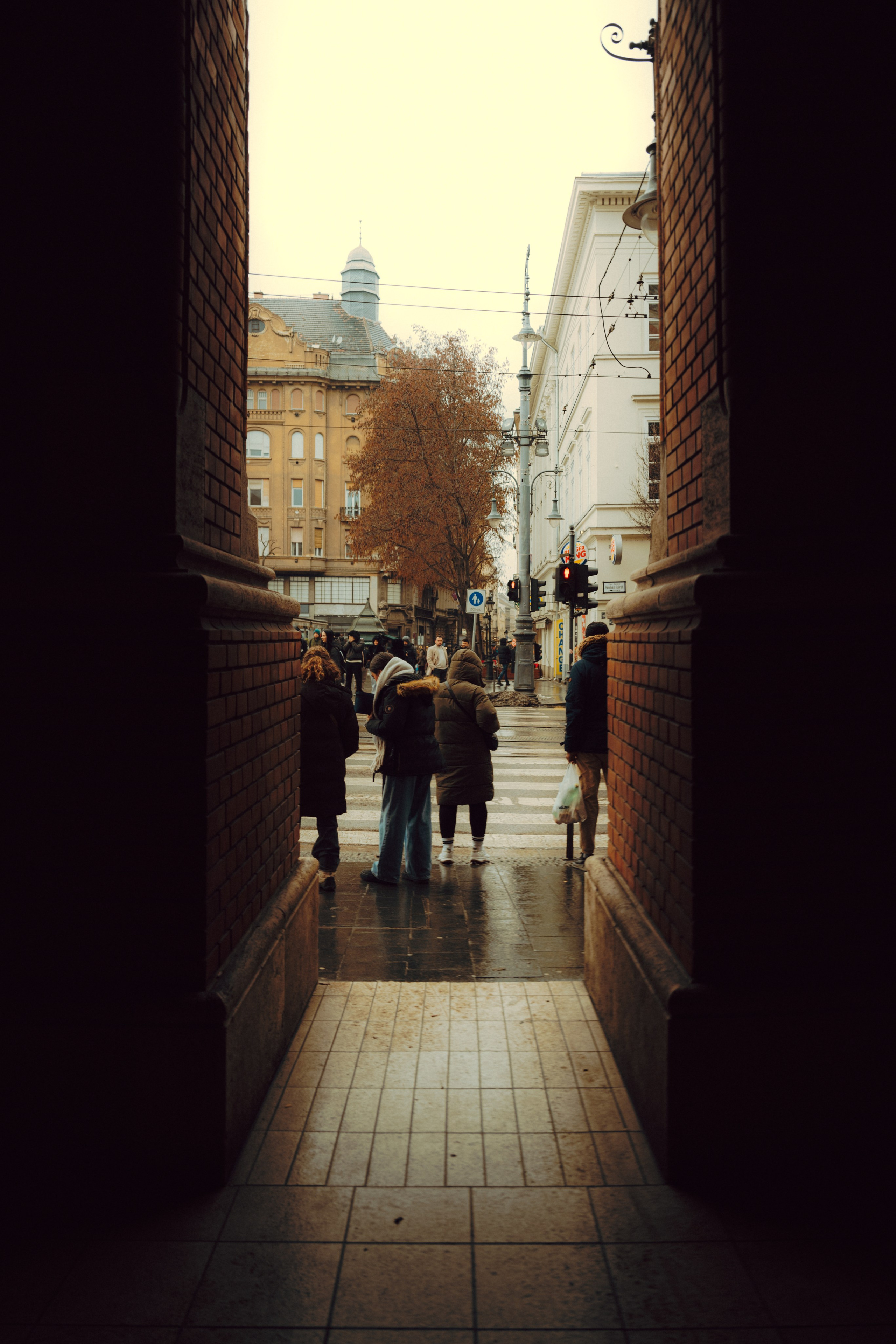 Budapest. Merabi Eminashvili