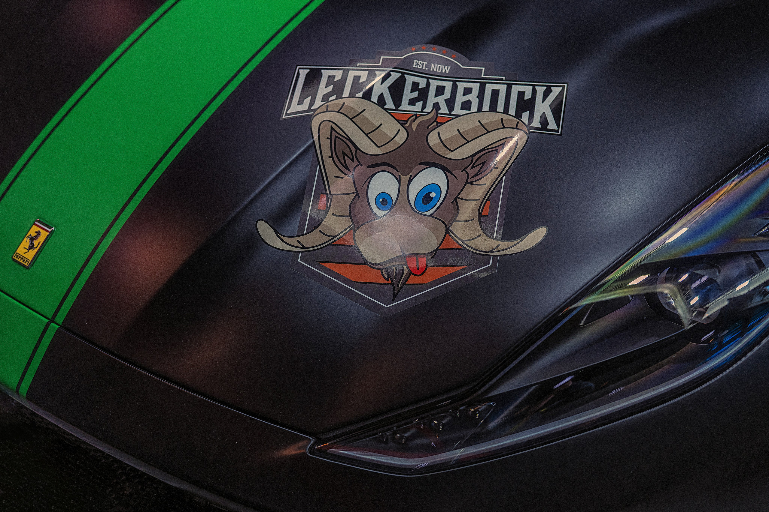 Для Миши. LUKIN IGOR Photography