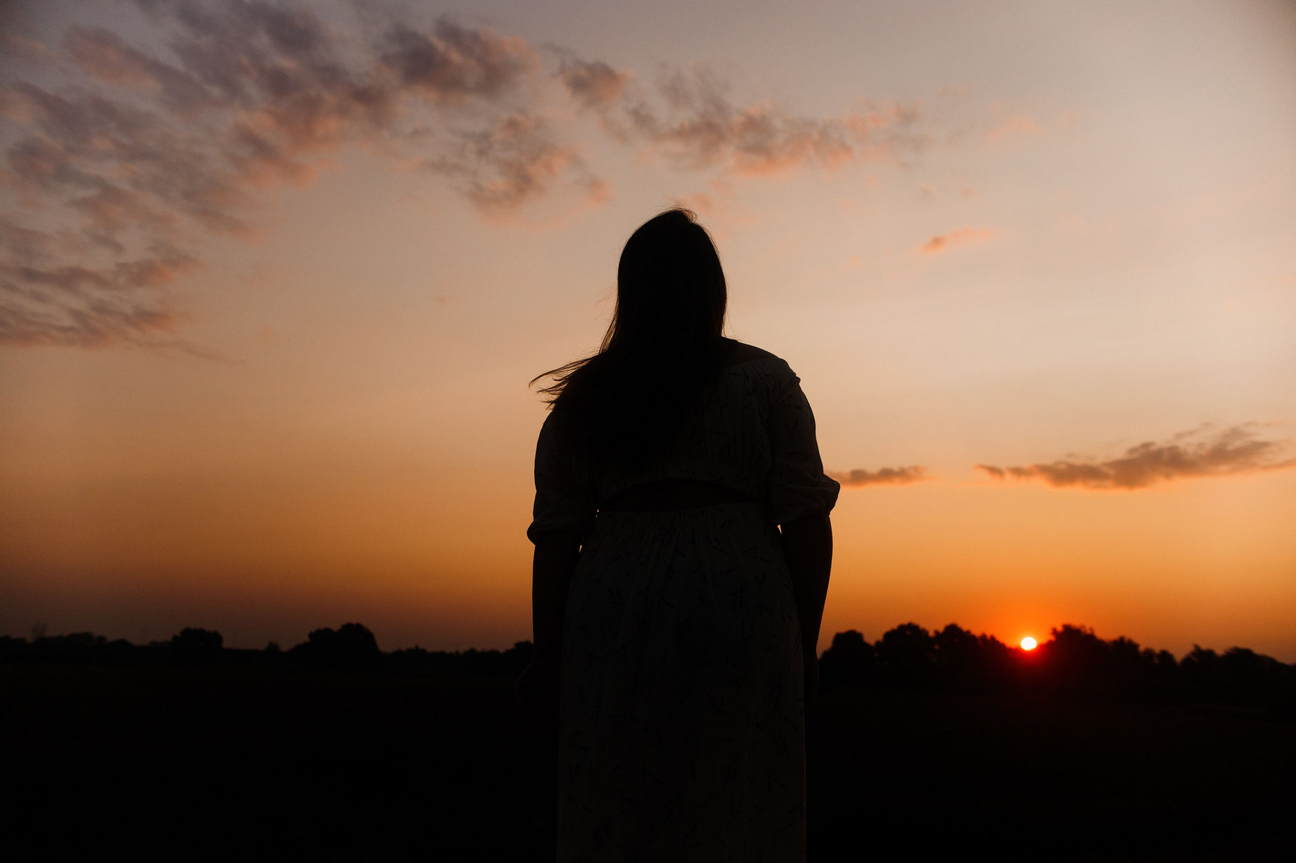 Katya in the field. Kaja | fotograf psów we Wrocławiu
