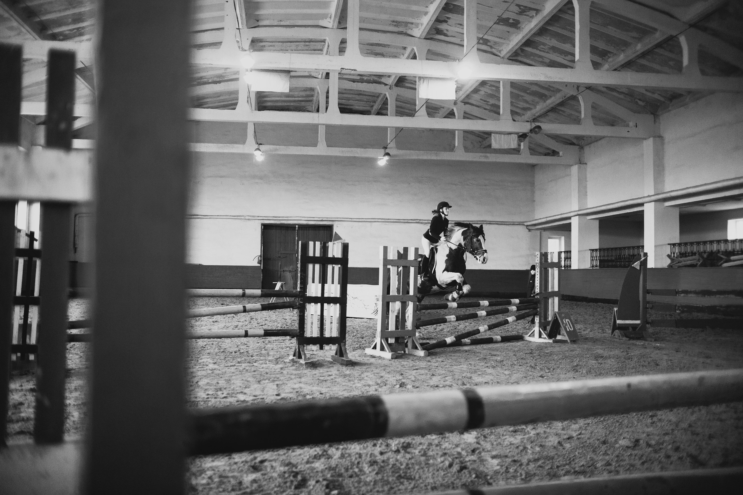 Winter show jumping in «Progress». Kaja | fotograf we Wrocławiu | ludzie i psy