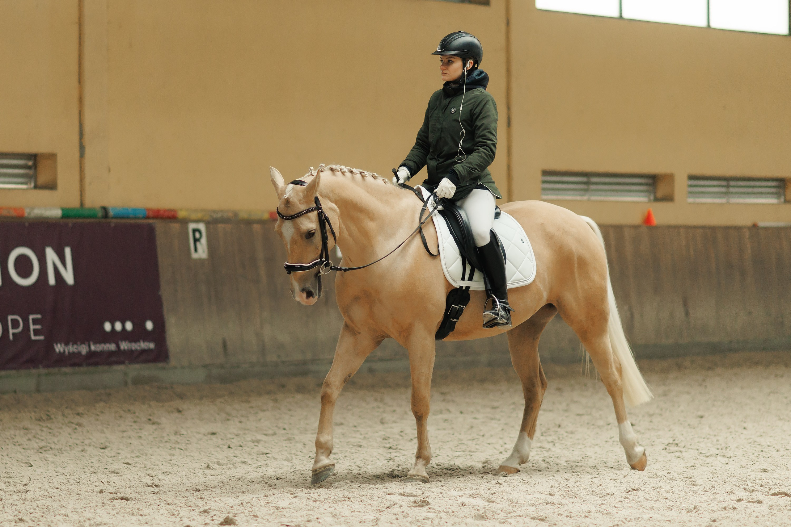 Partynice dressage \ feb'25. Kaja | fotograf we Wrocławiu | ludzie i psy