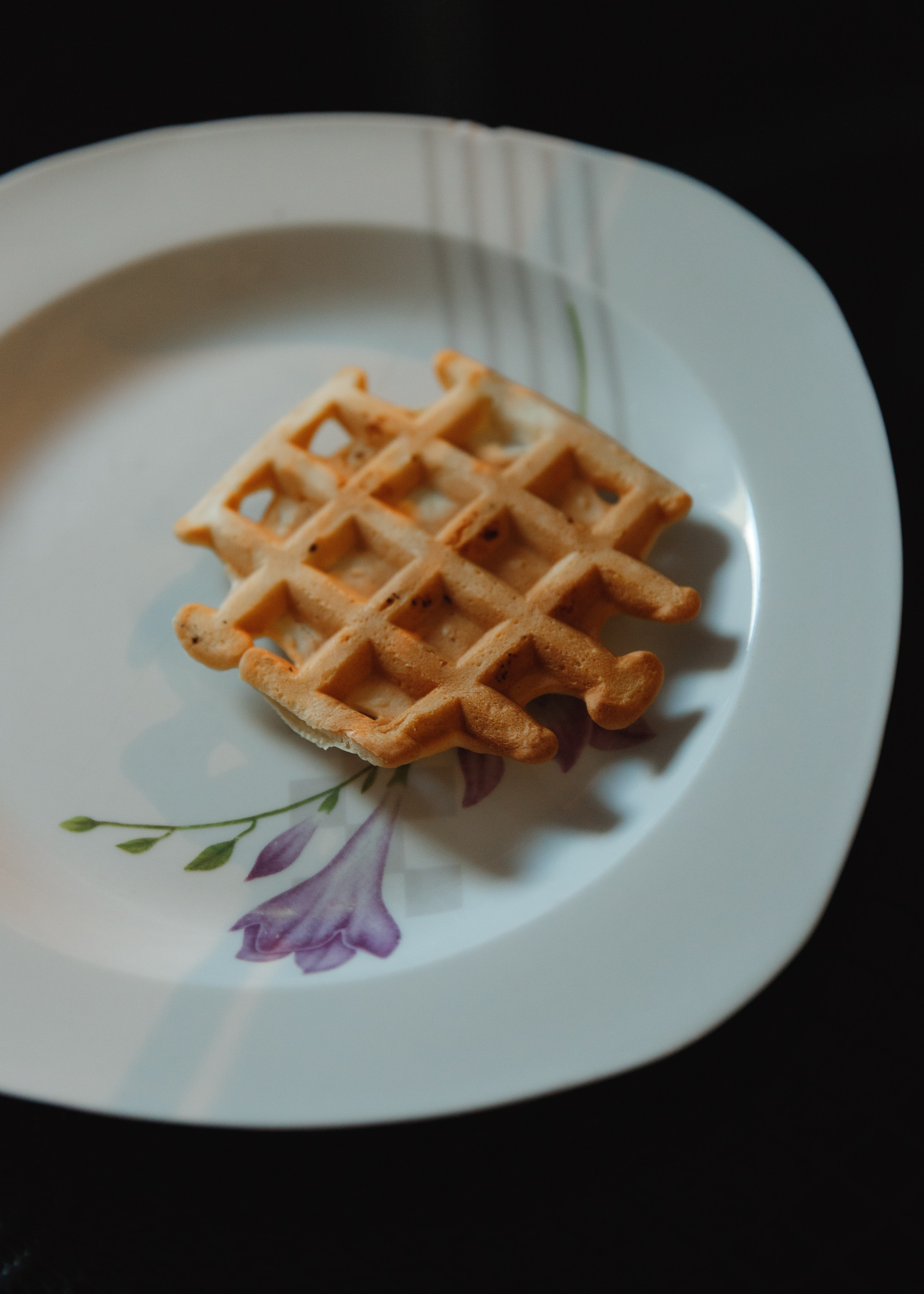 Fotografia psów Wrocław. Kaja | fotograf we Wrocławiu | ludzie i psy