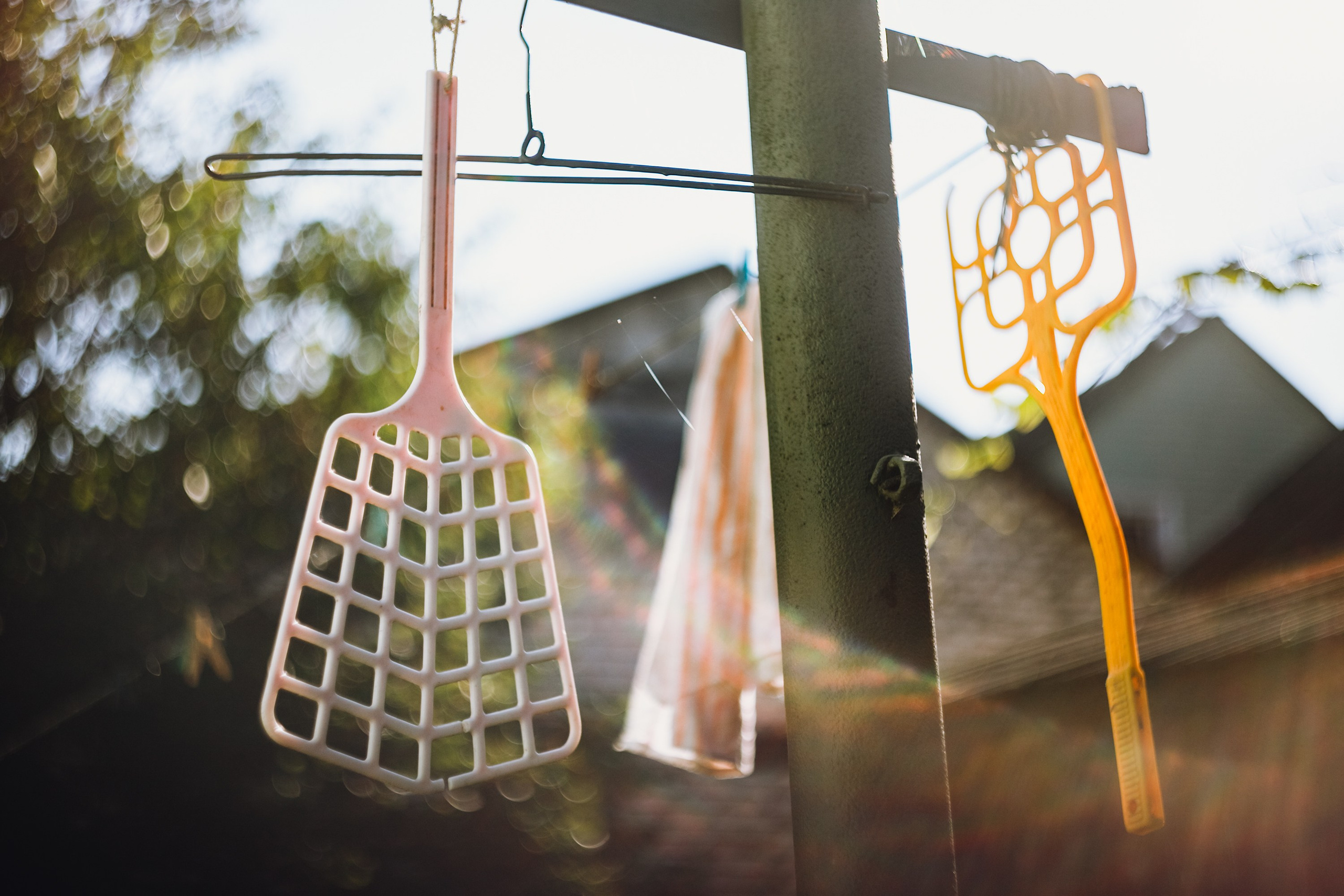 Grandmother's home in Brest. Kaja | fotograf we Wrocławiu | ludzie i psy
