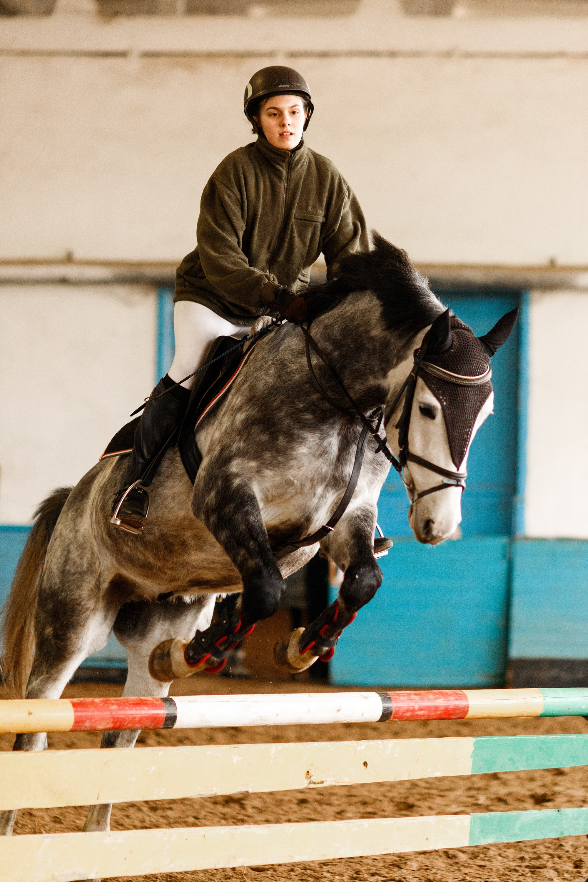 Winter show jumping in «Progress». Kaja | fotograf we Wrocławiu | ludzie i psy