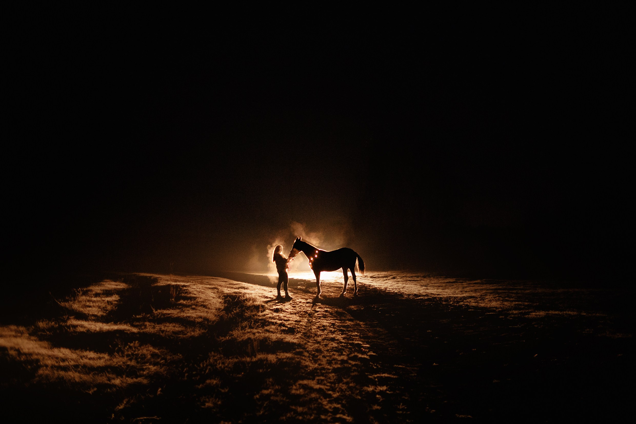 Aibike | winter. Kaja | fotograf psów we Wrocławiu