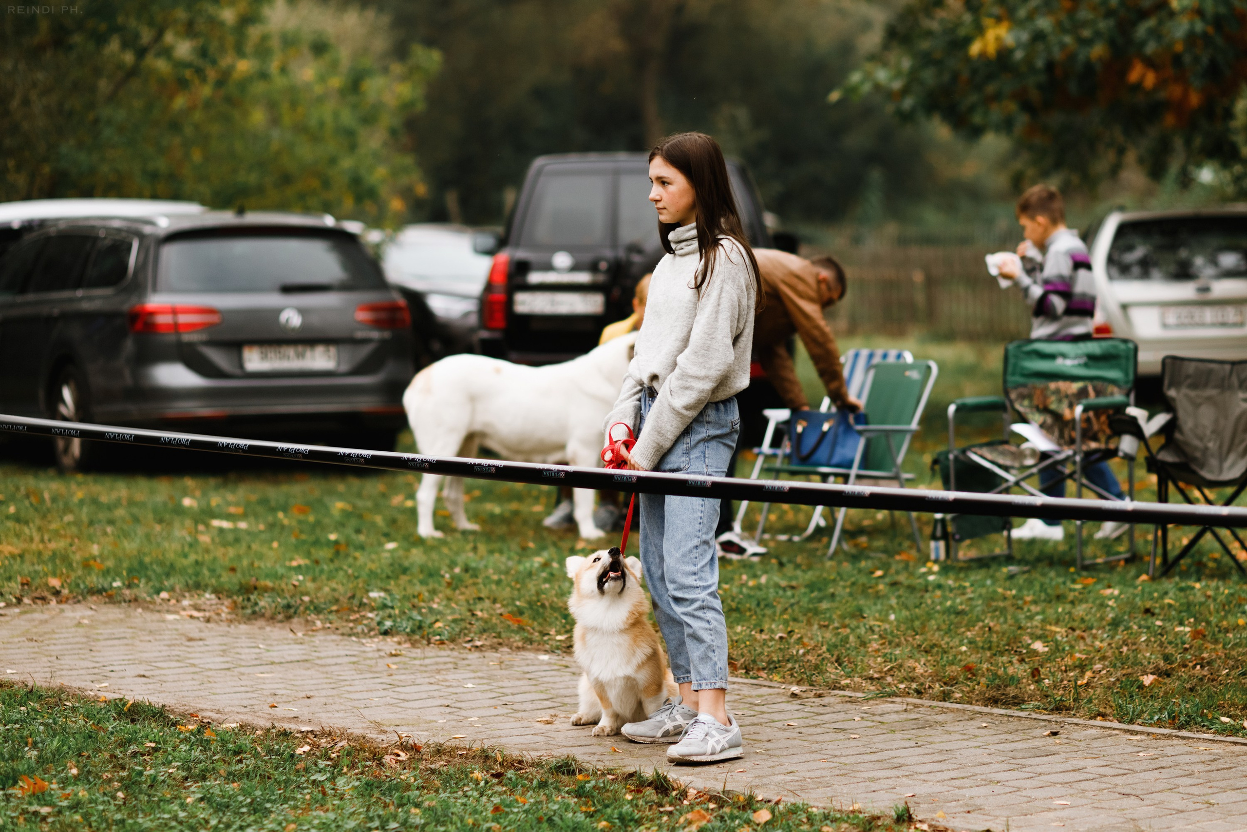 «Argus» dog show in Brest. Kaja | fotograf we Wrocławiu | ludzie i psy