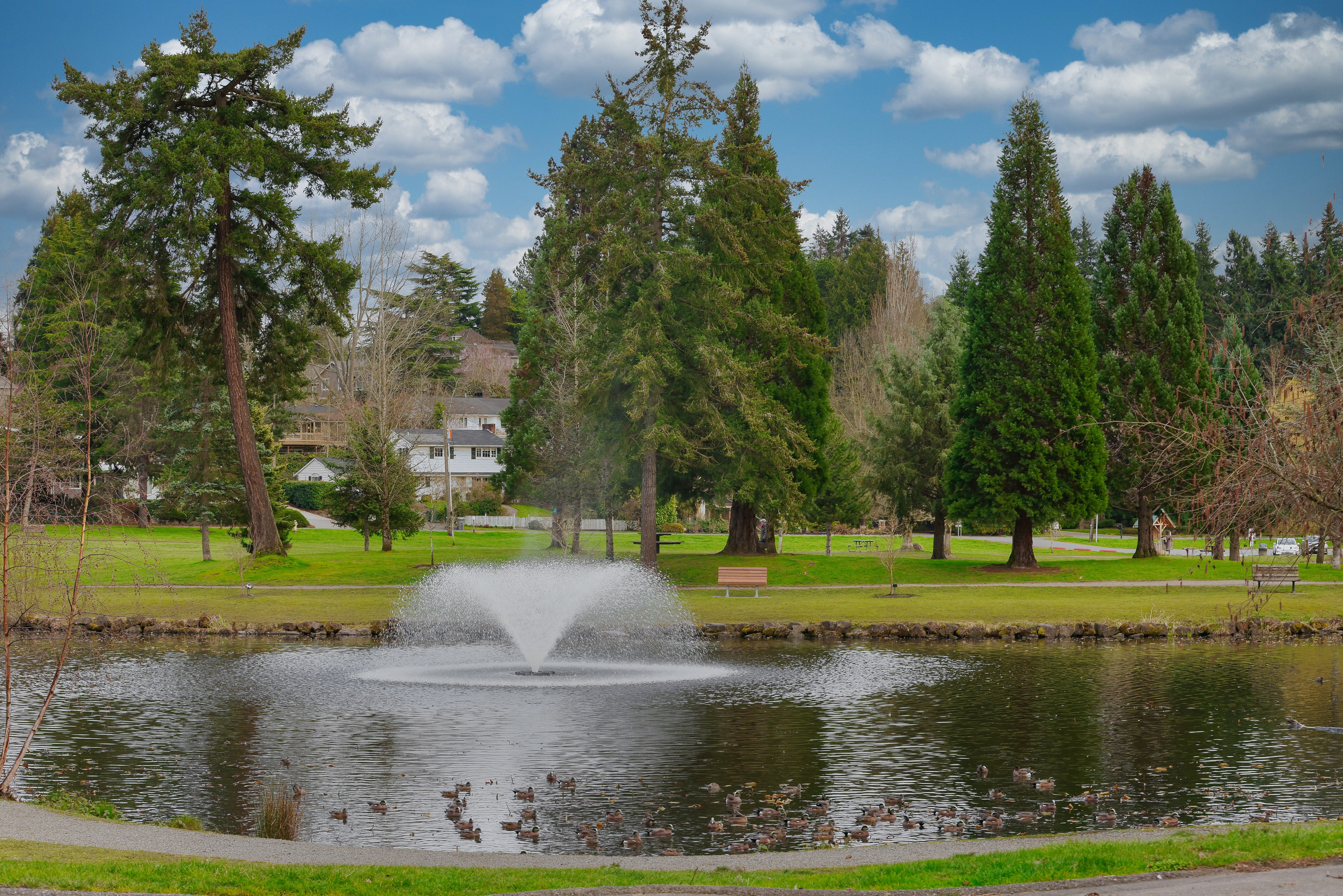 Real Estate Photos. Joanna Jin Photography