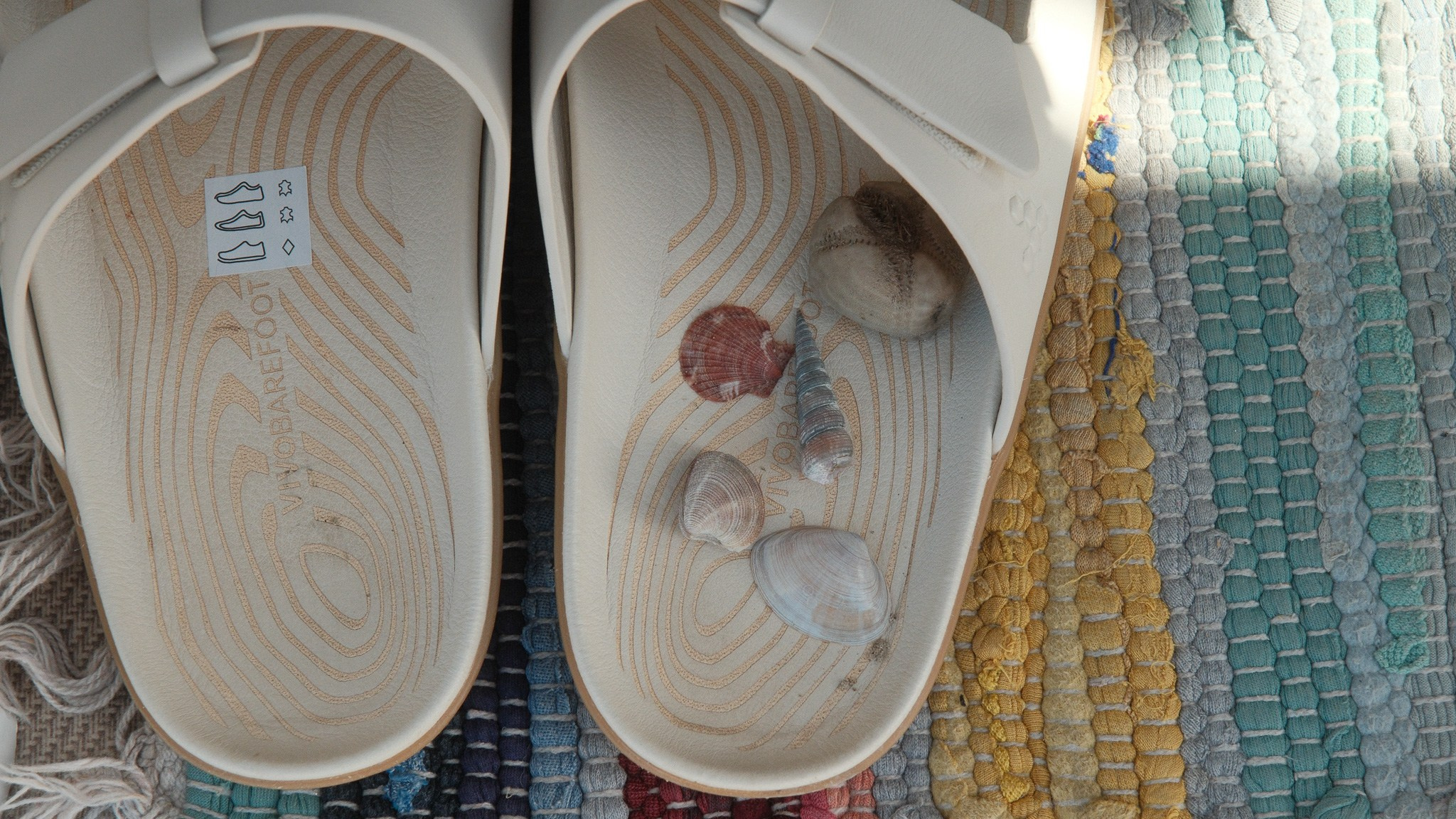 Wales Road Trip 2026. Callum Ecobichon