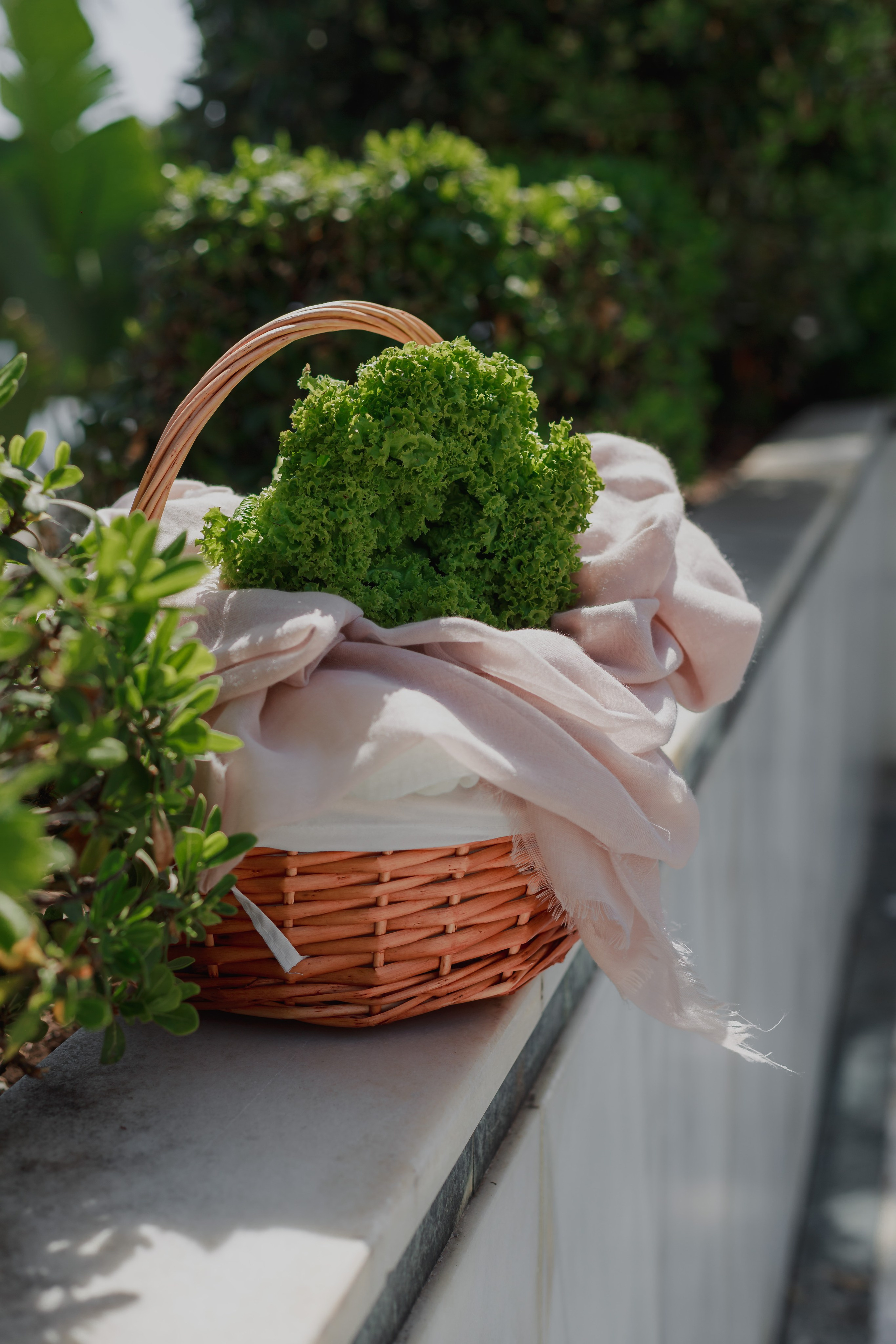 Sesión fotográfica publicitaria para nutricionista en Valencia. Fotógrafo de retrato, familia y reportajes en Valencia | España | Europa Vitalii Lumier