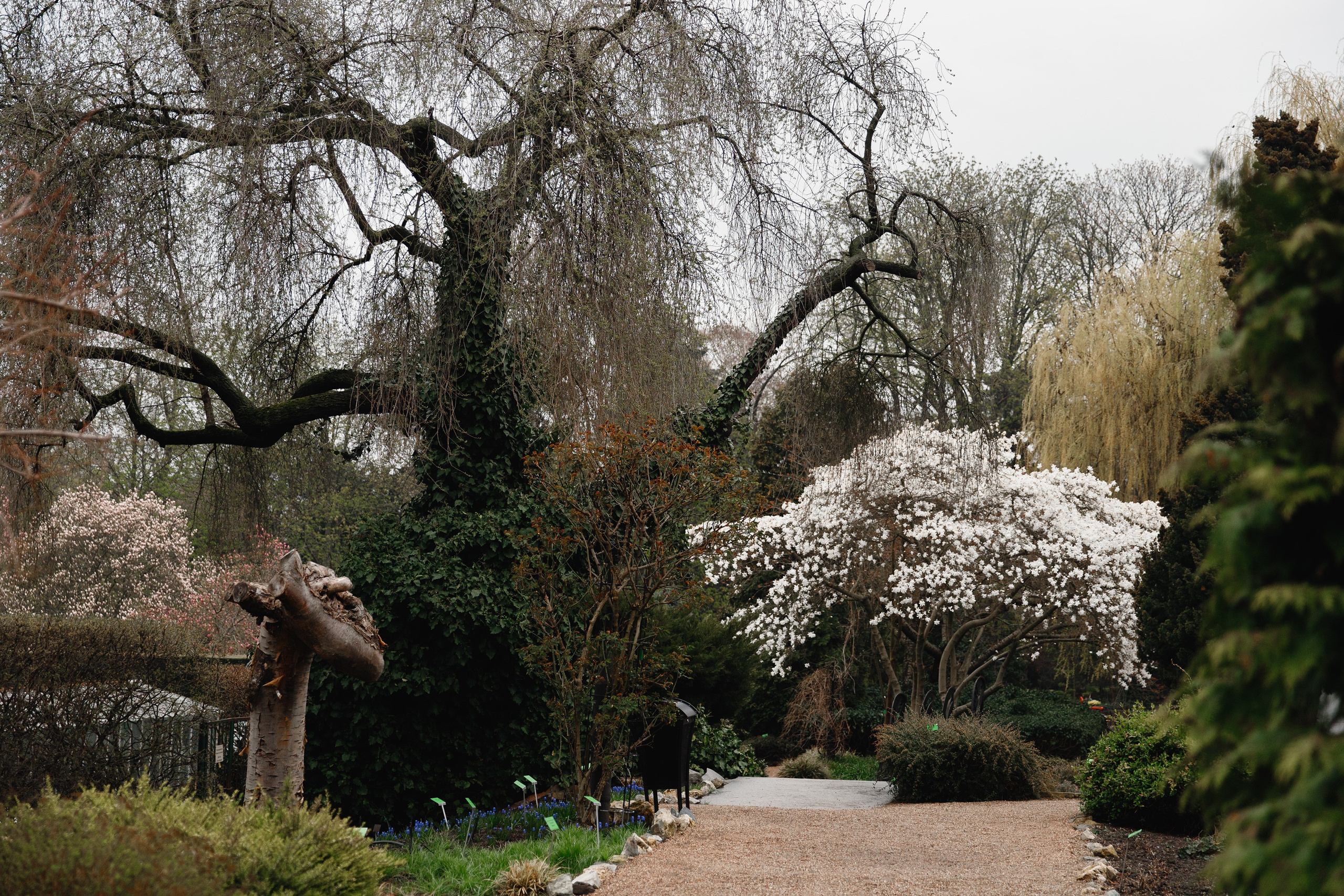 Botanical garden in Wroclaw. Kaja | fotograf we Wrocławiu | ludzie i psy