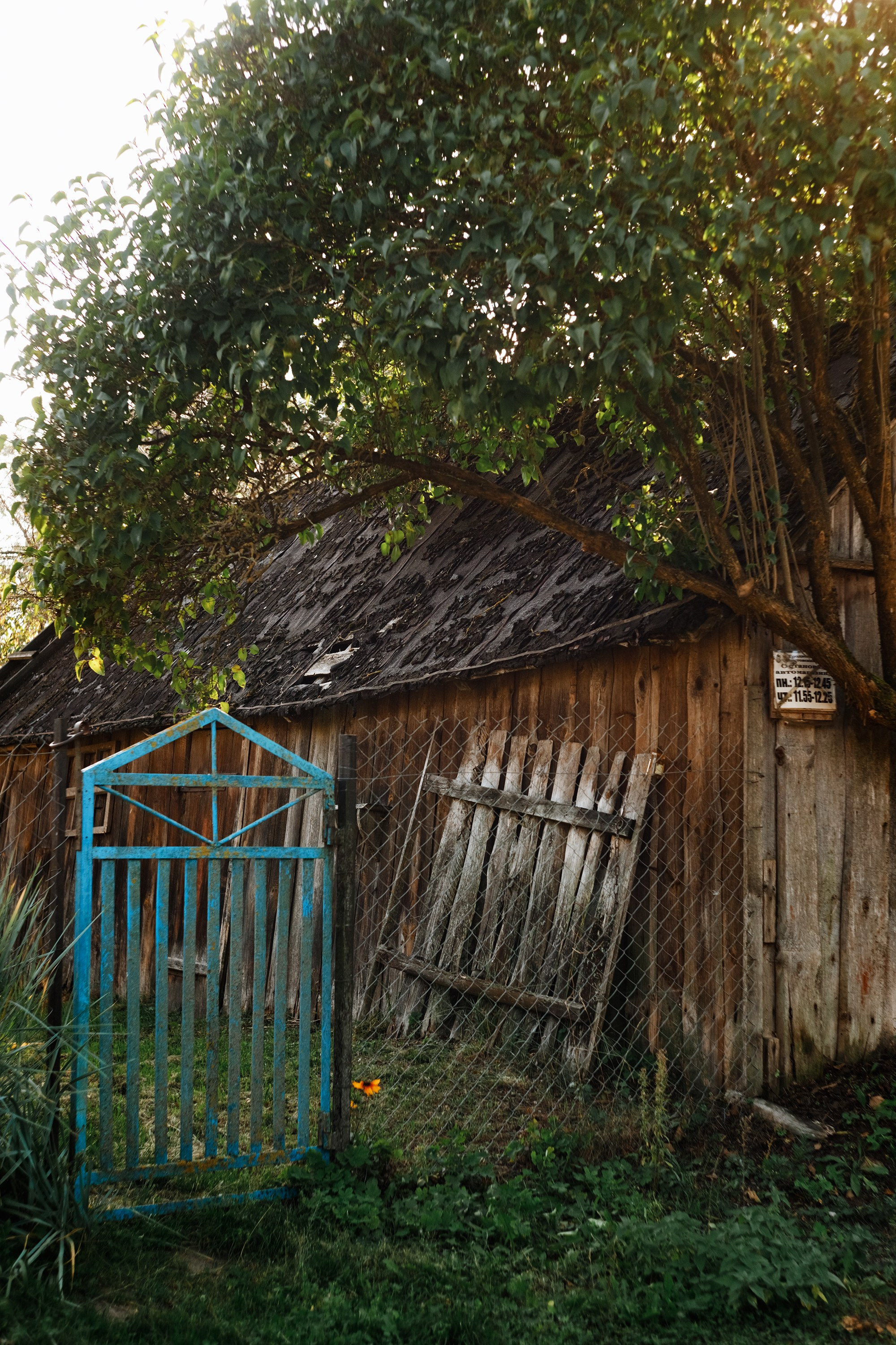 One small village in Grodno region. Kaja | fotograf we Wrocławiu | ludzie i psy