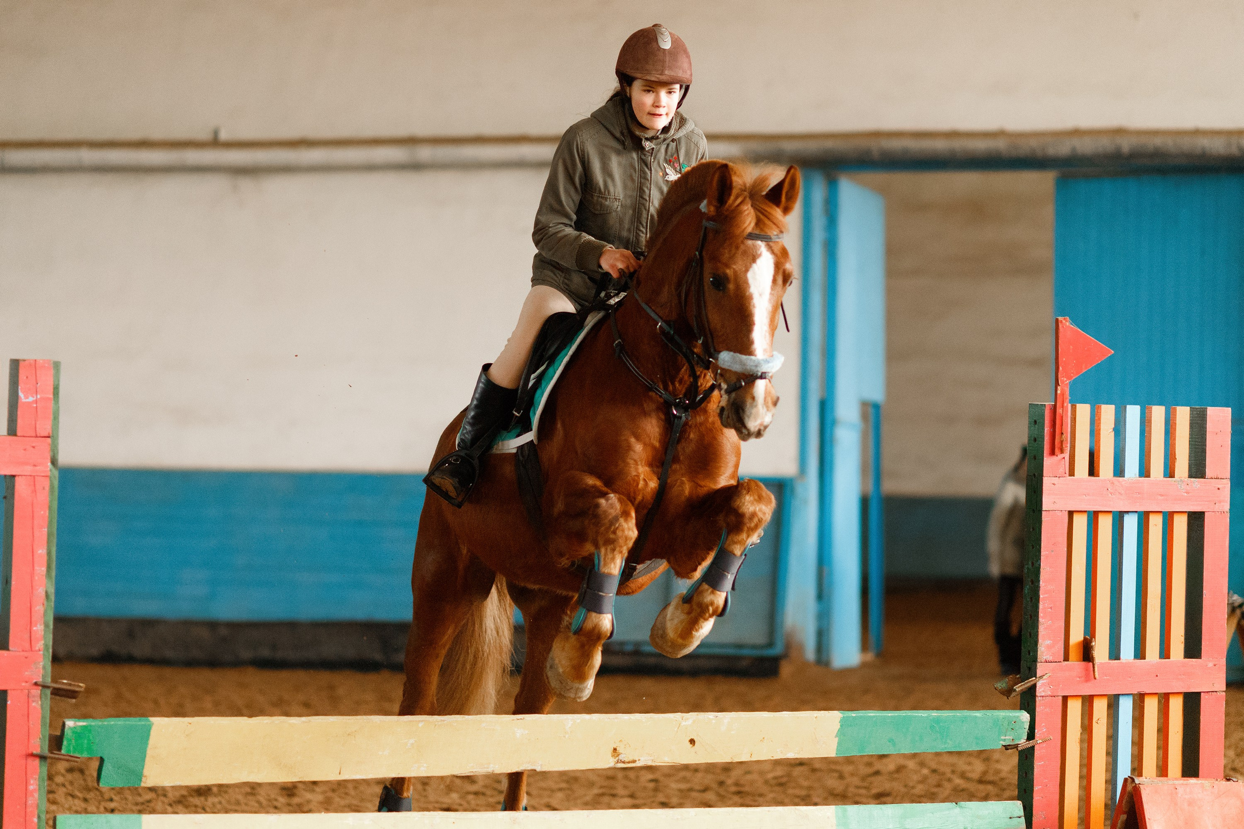 Winter show jumping in «Progress». Kaja | fotograf we Wrocławiu | ludzie i psy