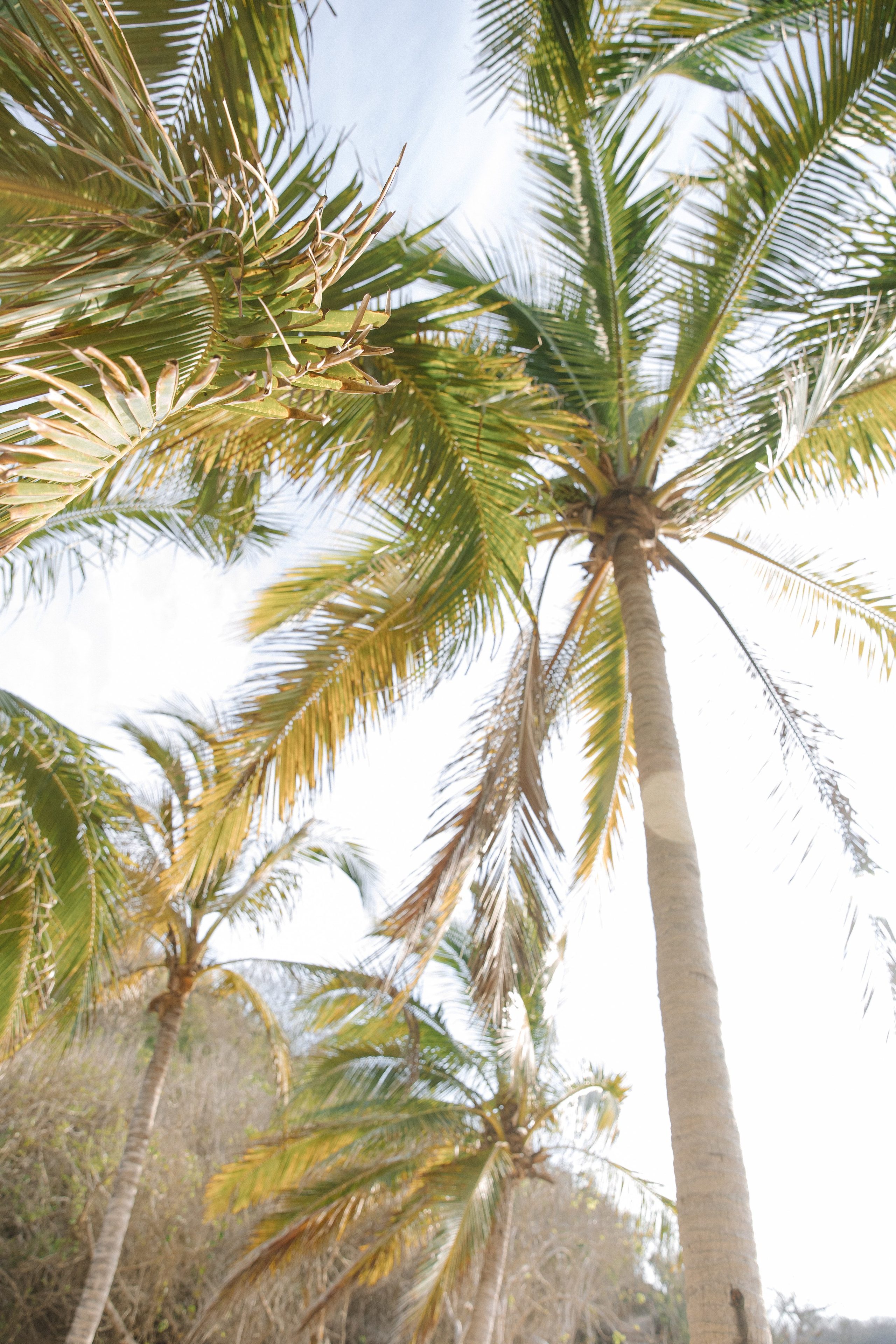 Playa Careyes, Casa Tauro. Wedding photographer Mexico Sayulita Puerto Vallarta Punta Mita Cabo