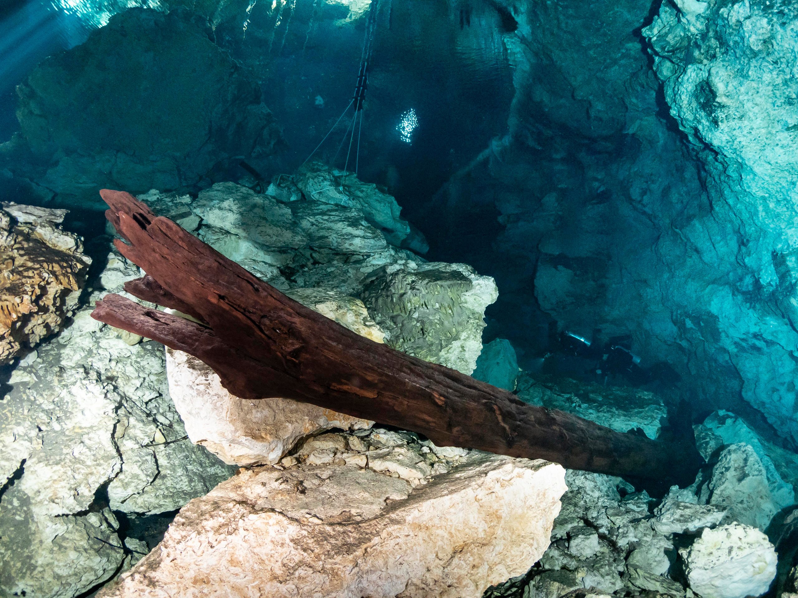 Senote. Your photographer on land and under water— Alexey Zaytsev