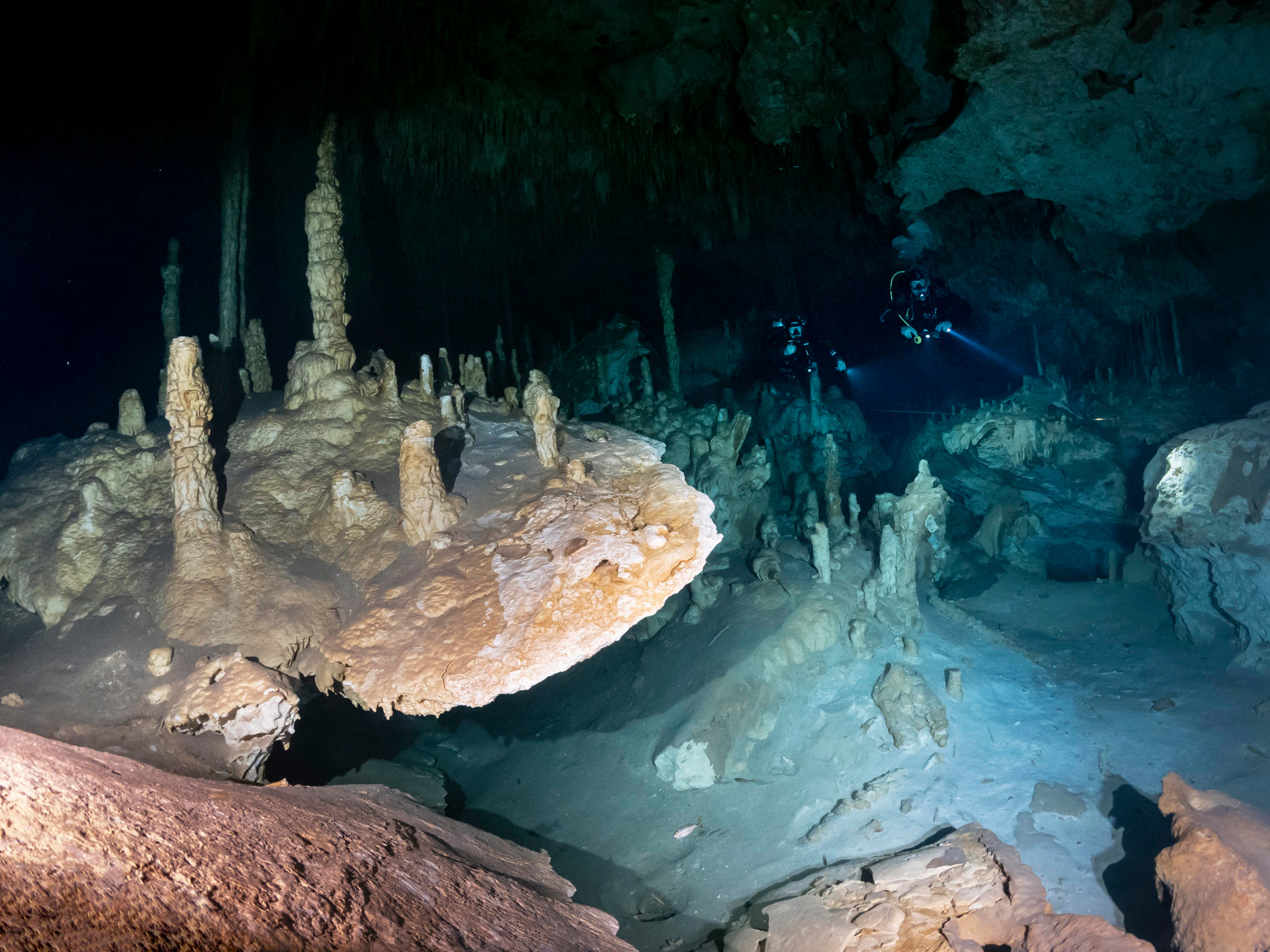 Senote. Your photographer on land and under water— Alexey Zaytsev