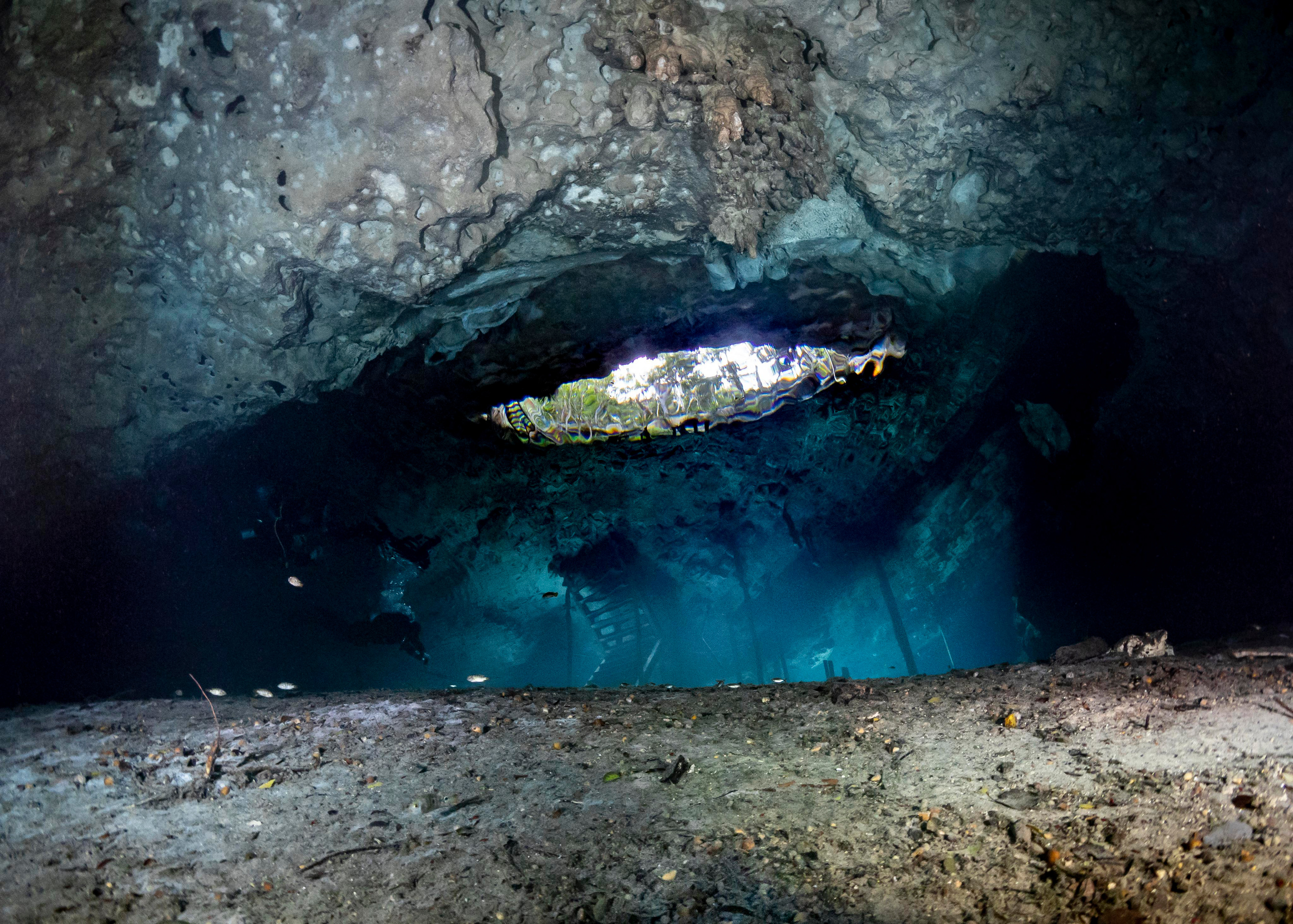 Senote. Your photographer on land and under water— Alexey Zaytsev